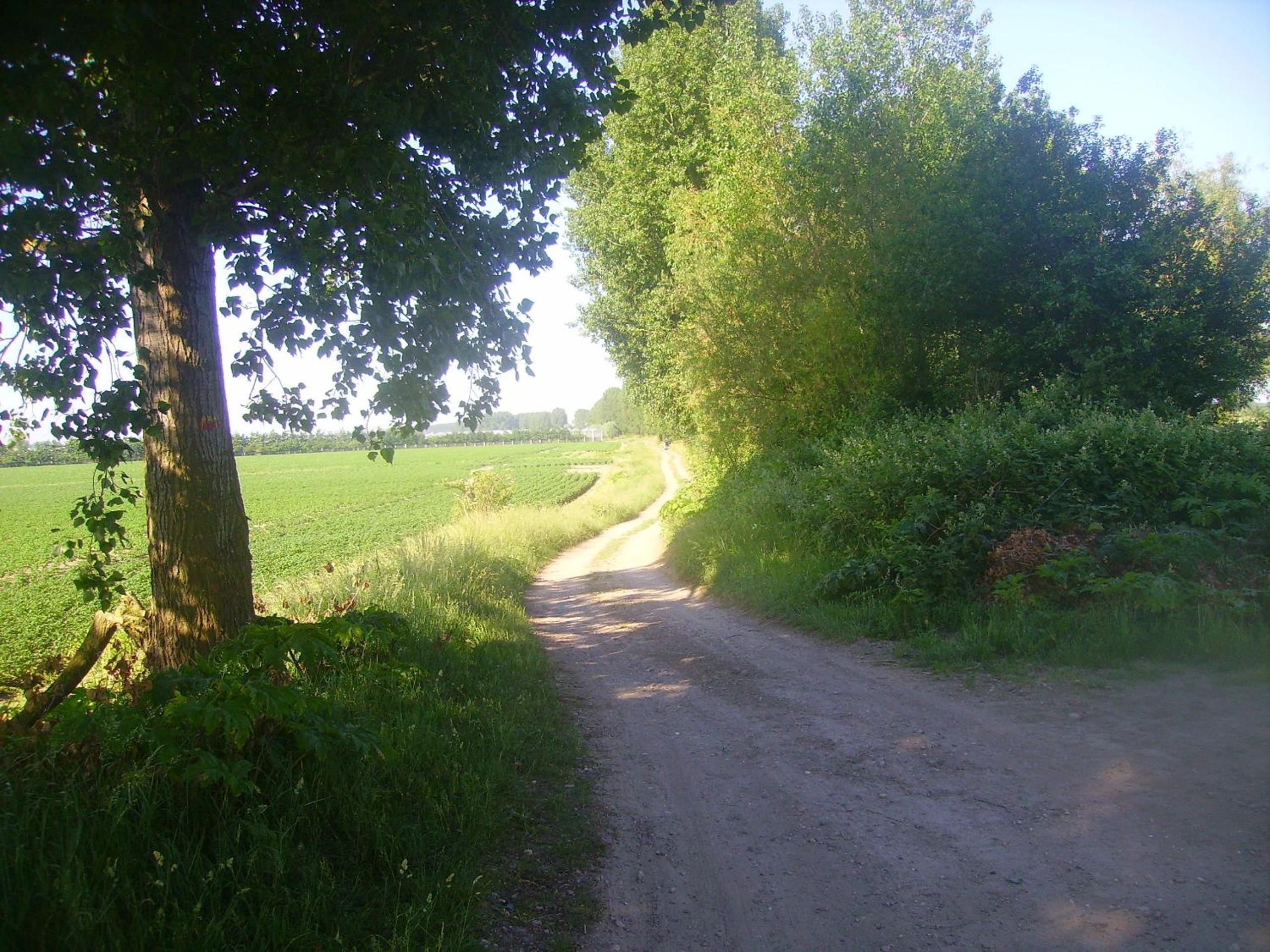 Photo 28