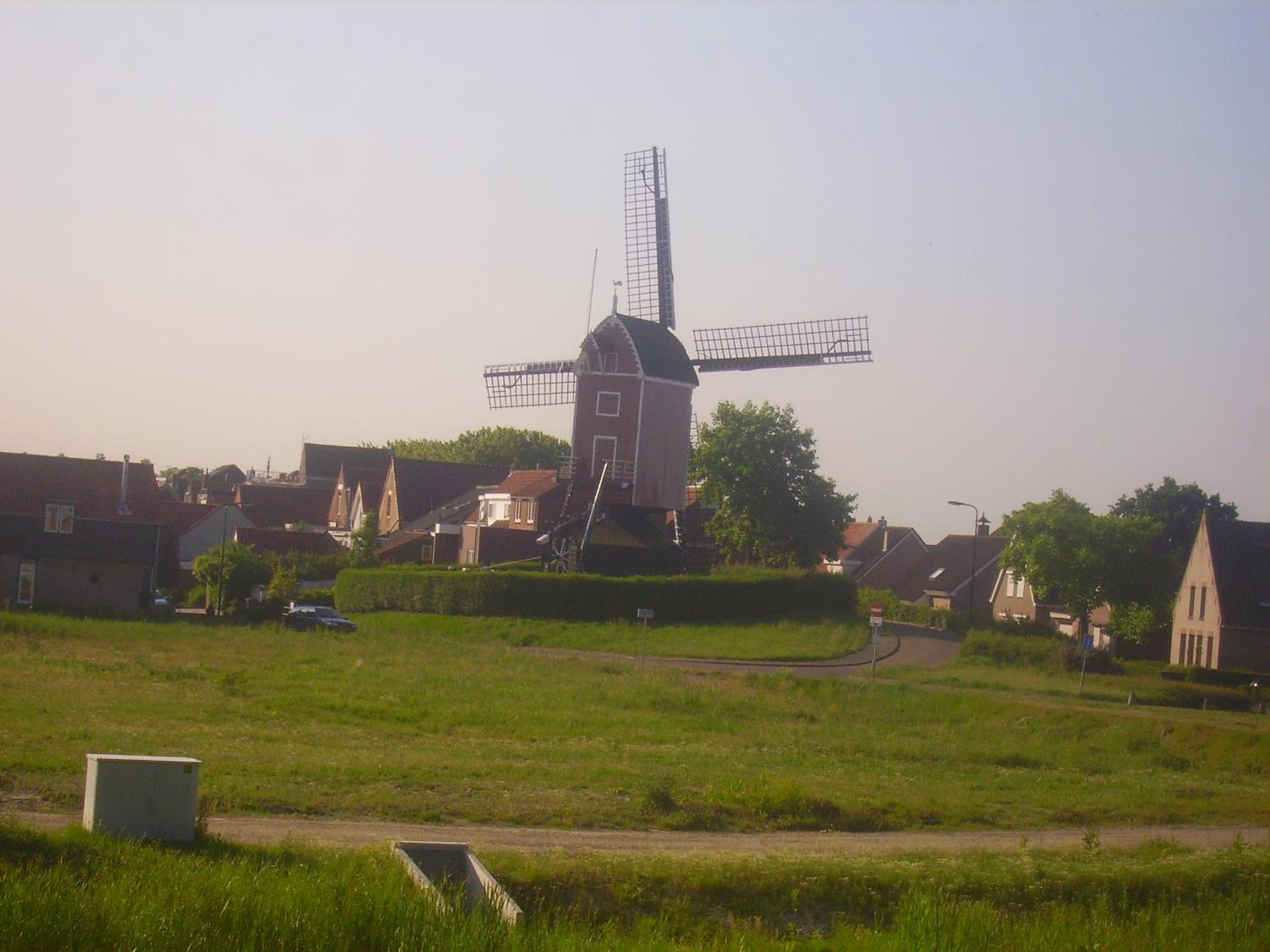 Photo 31