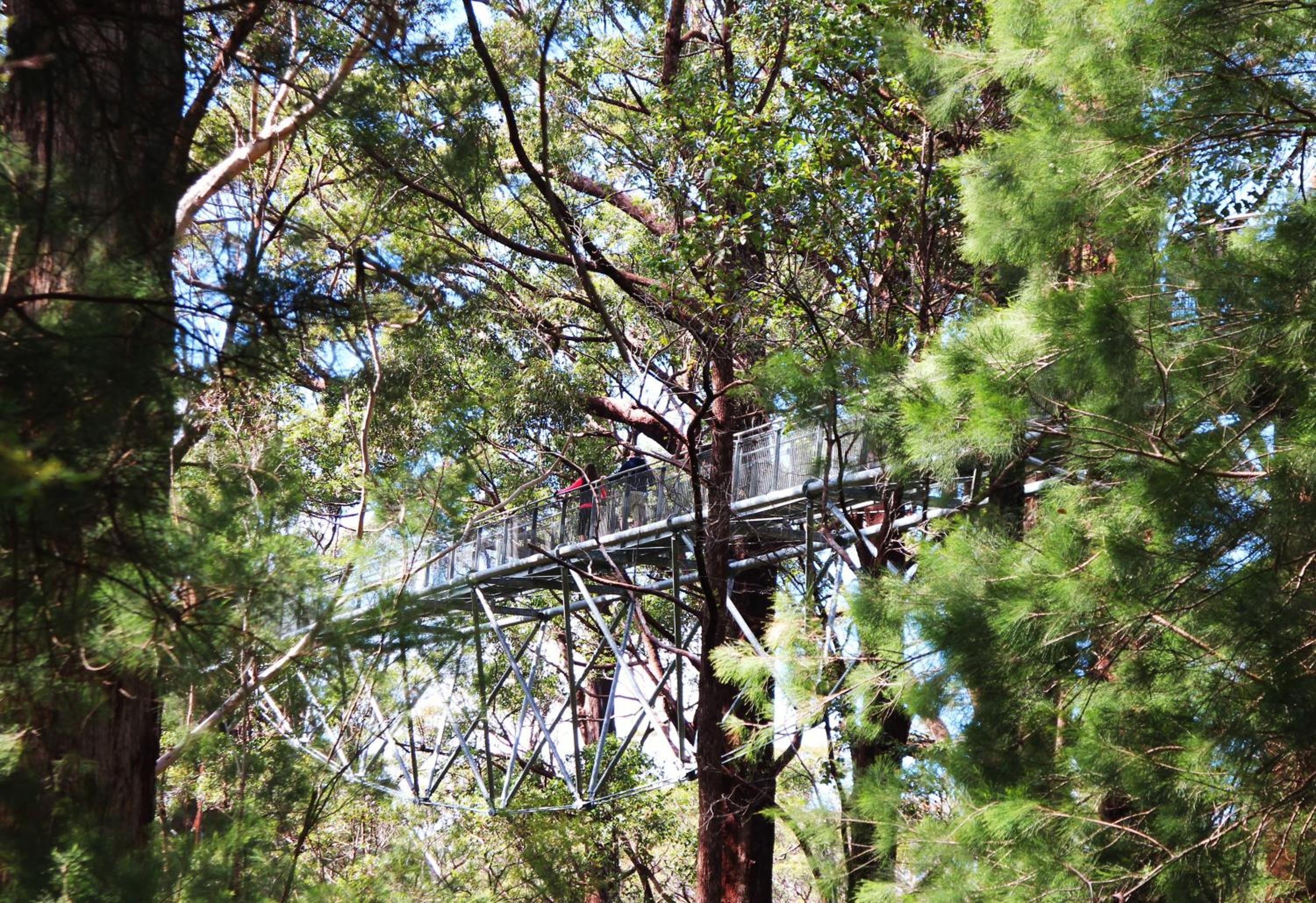 Nornalup Riverside Chalets view 2
