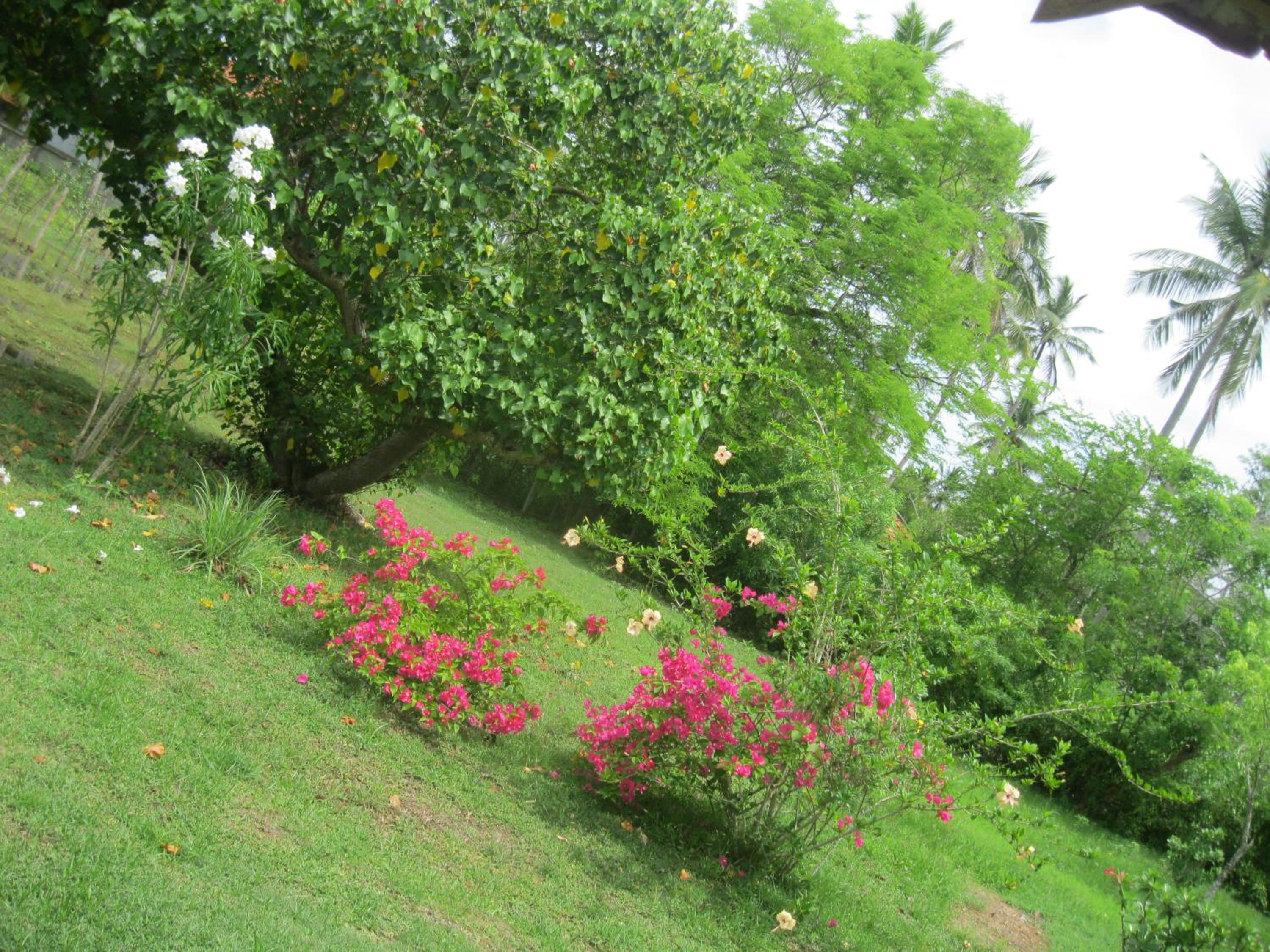 Photo 53