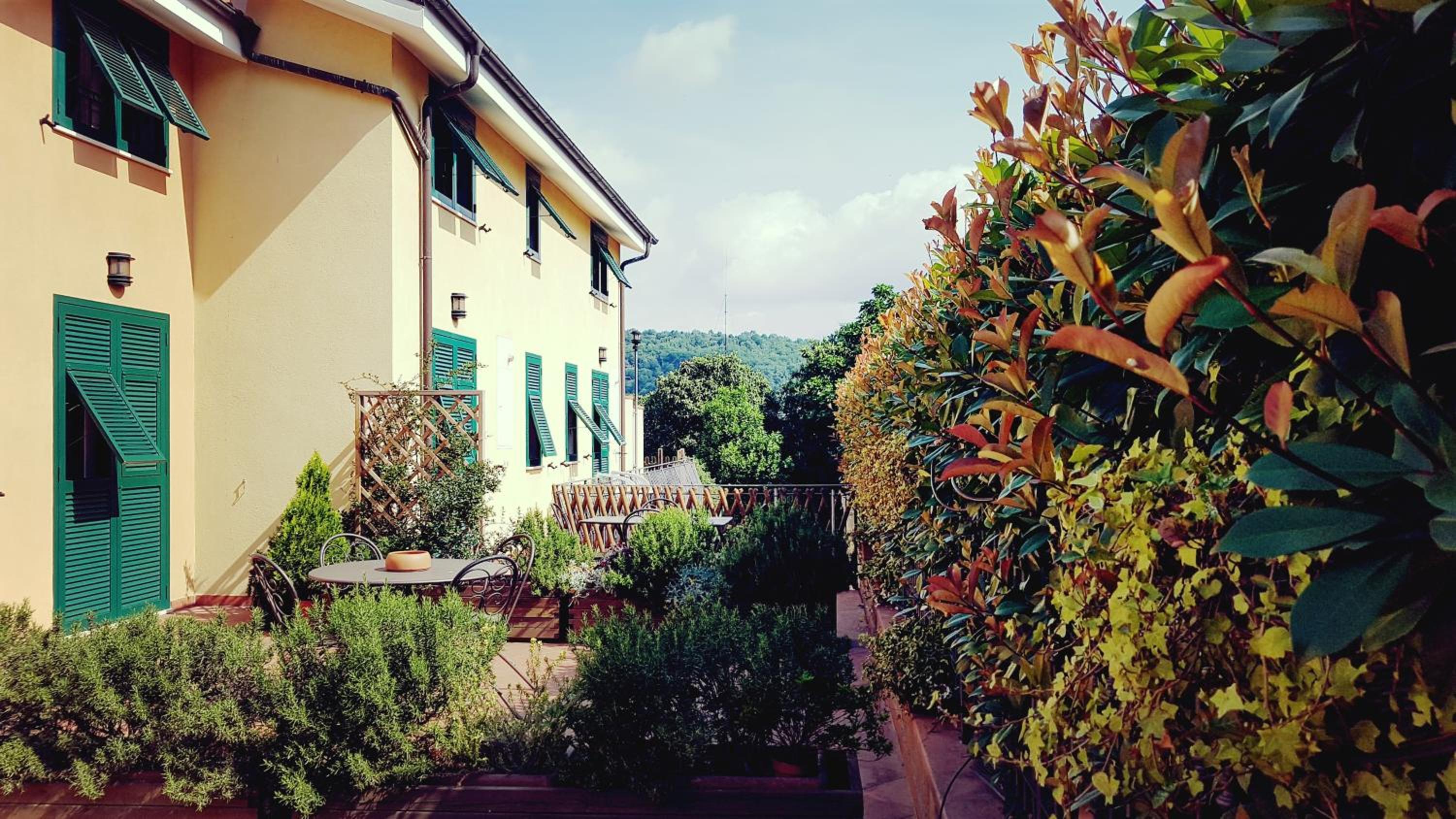 balance & terrace