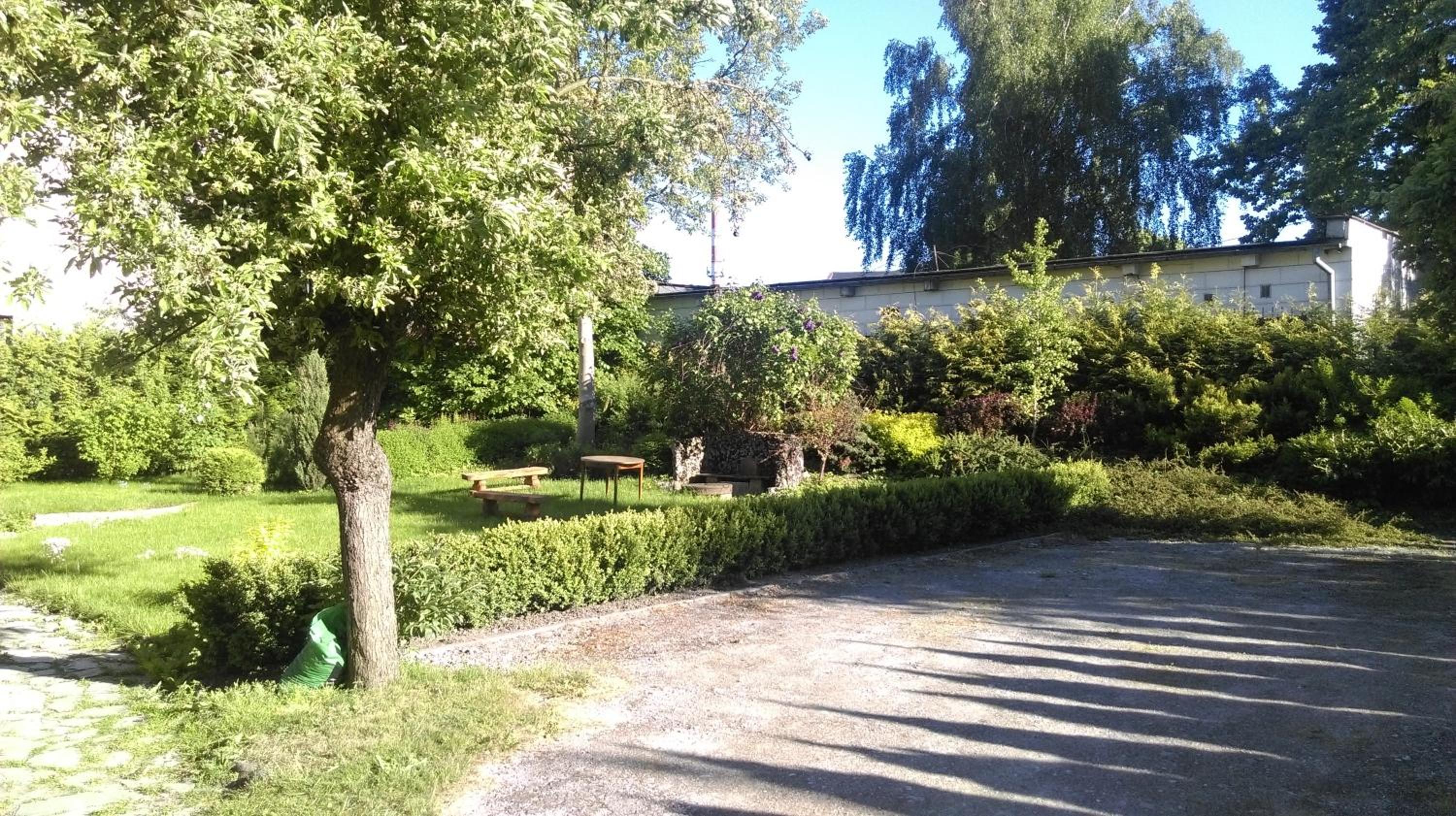 Photo 6