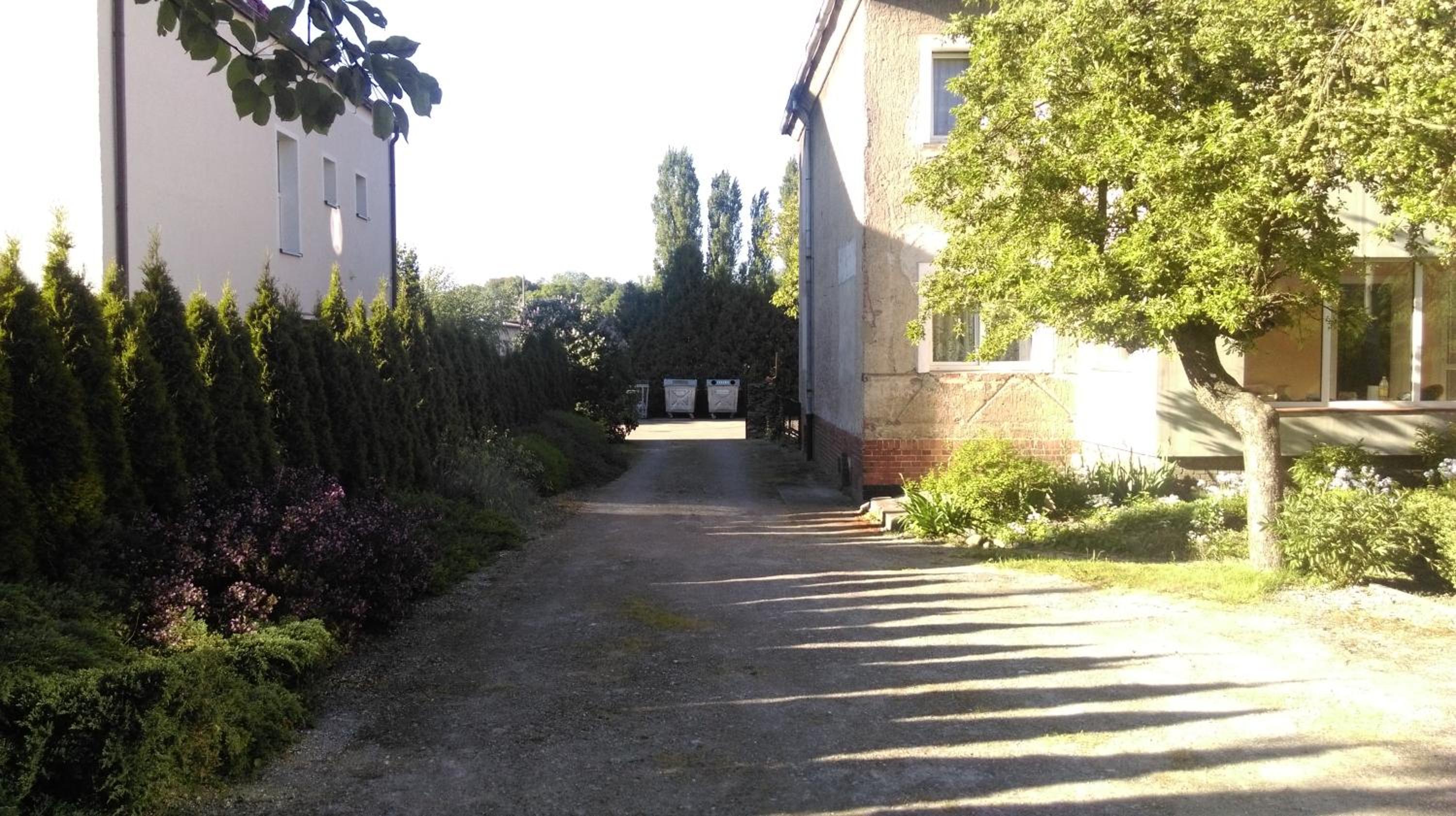 Photo 8