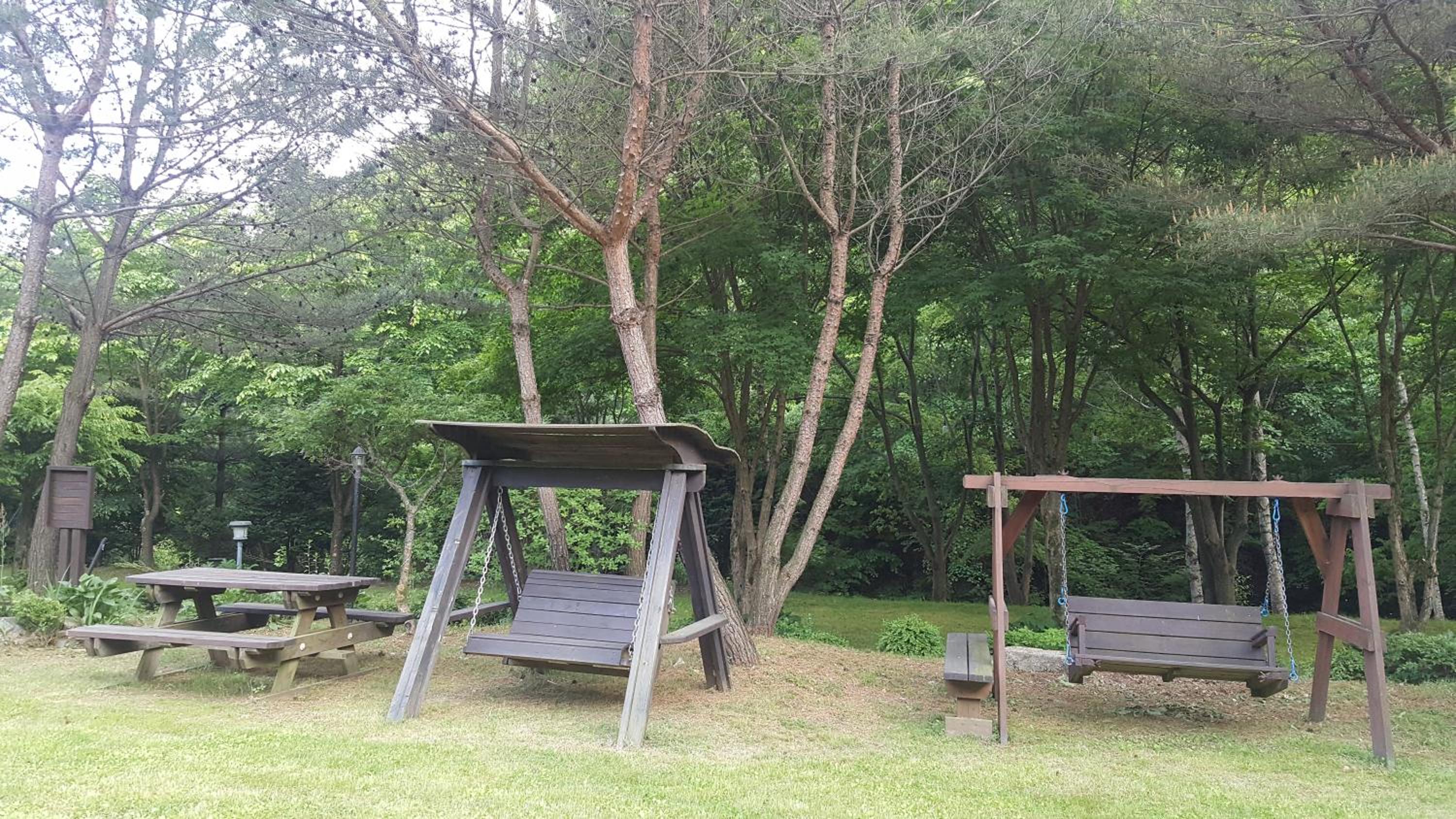 Shinevalley Pension & Hotel, 평창군, 대한민국 - 19