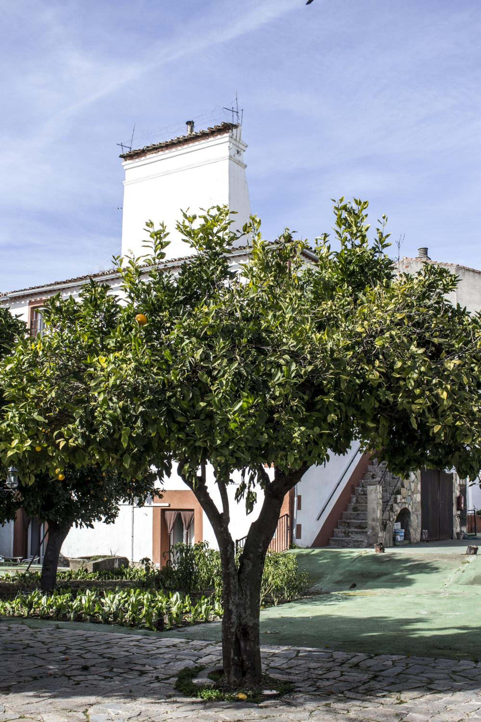 Hostal San Miguel