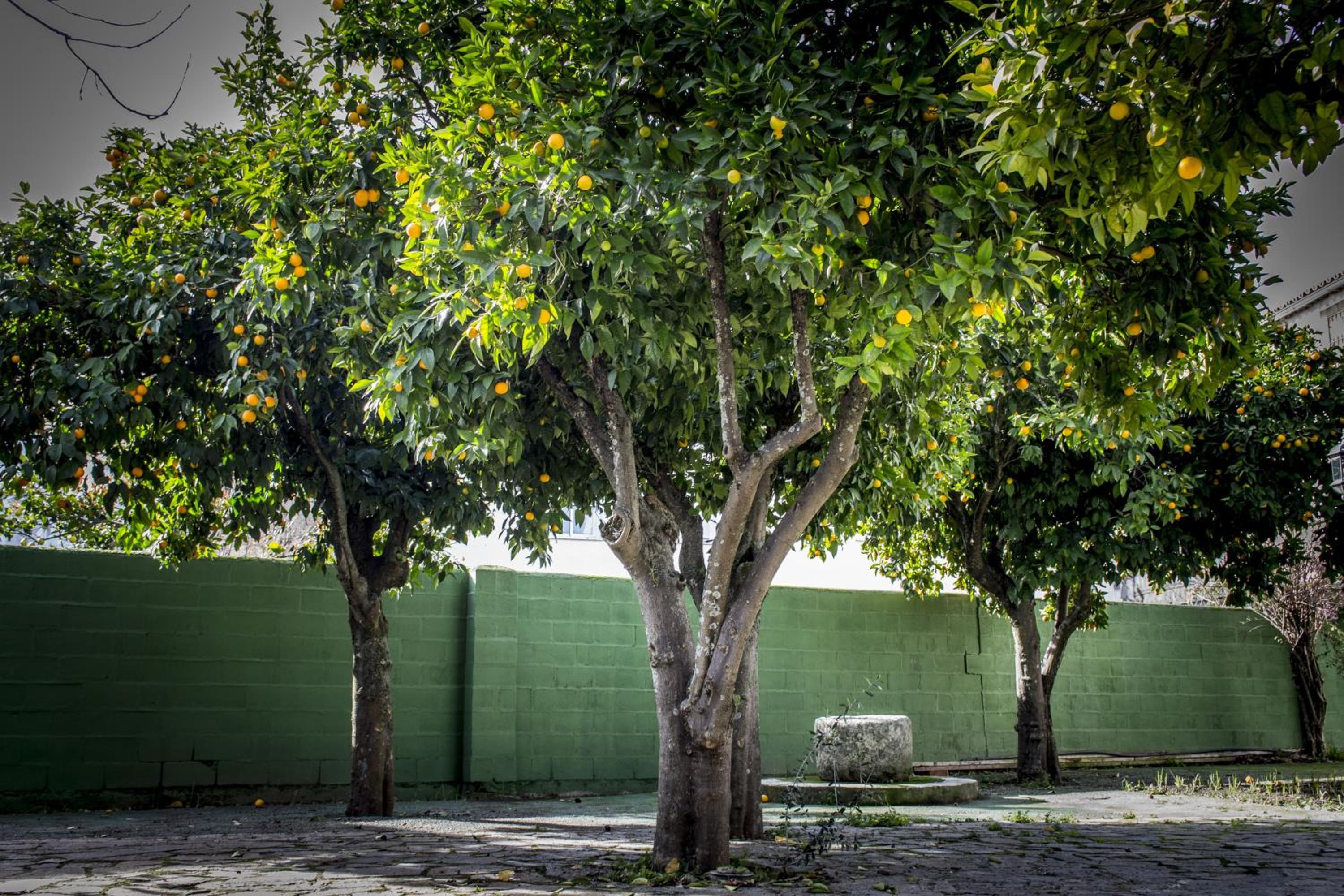 Hostal San Miguel