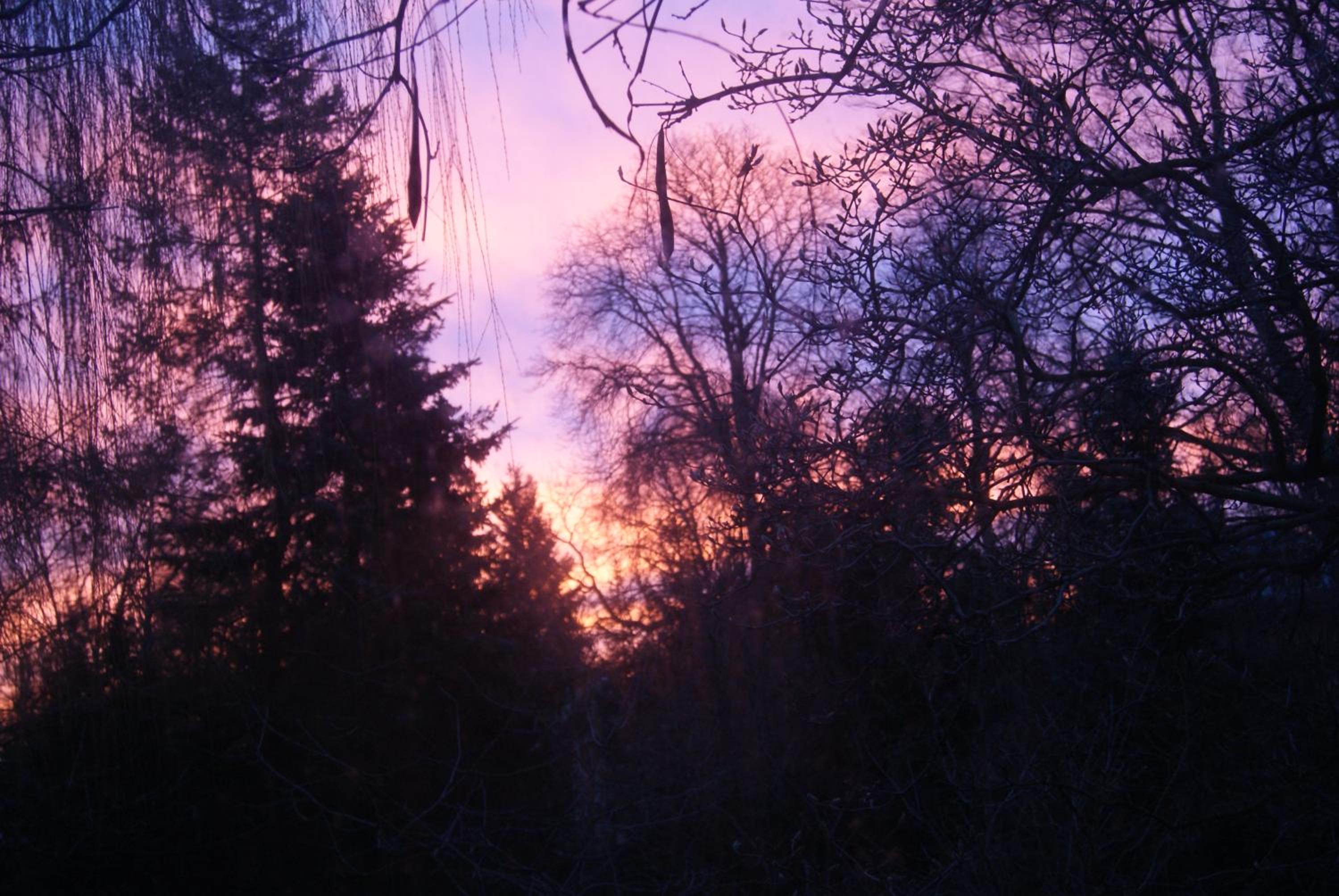Photo 33