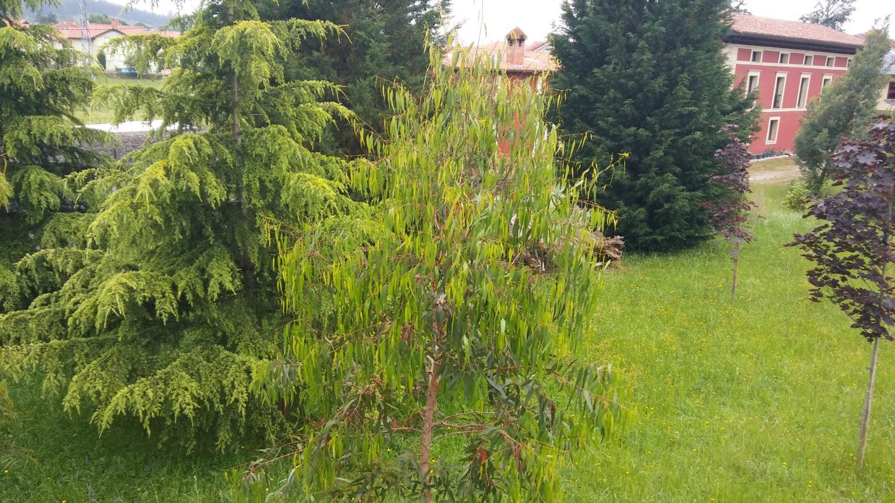 Photo 49