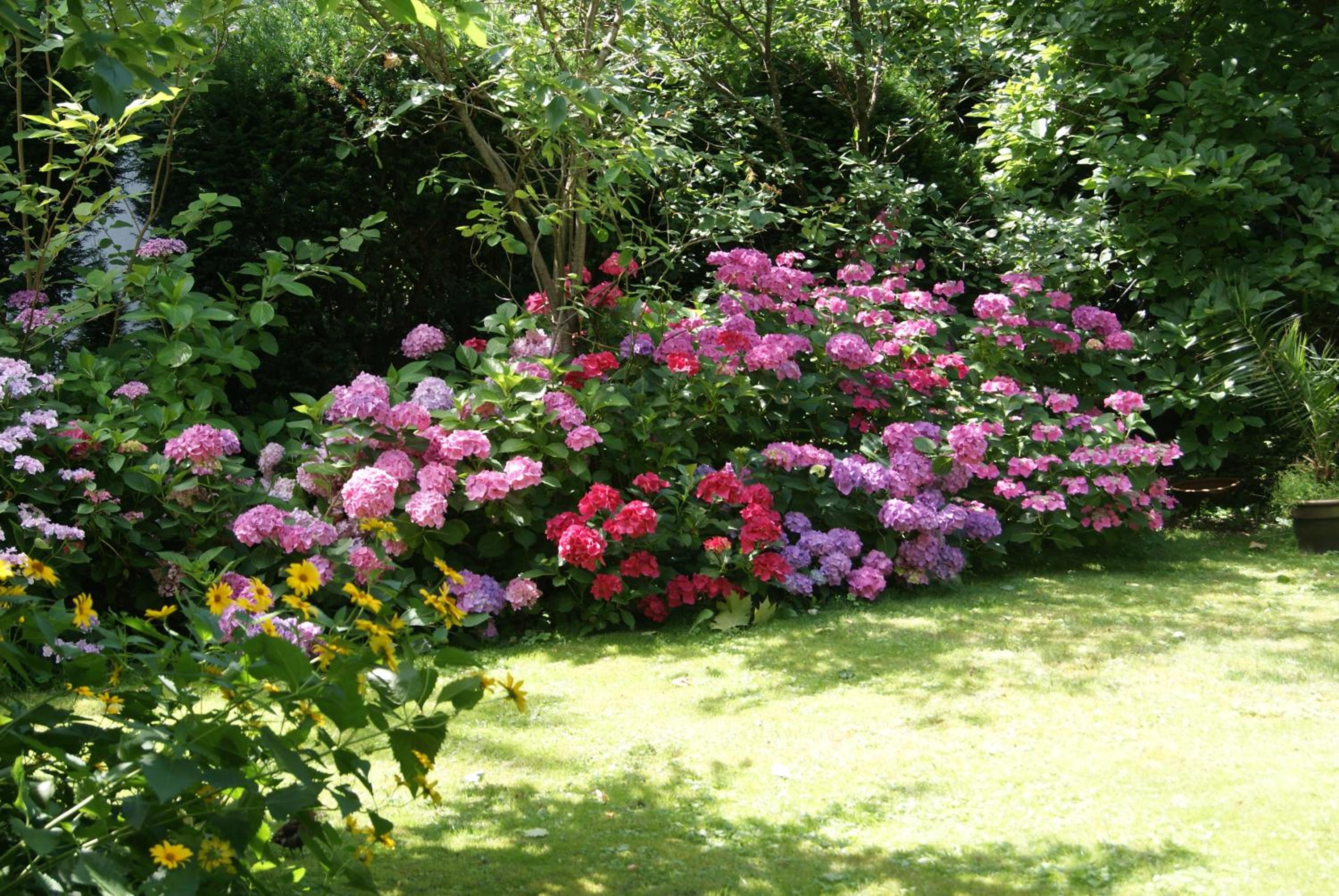 Photo 31