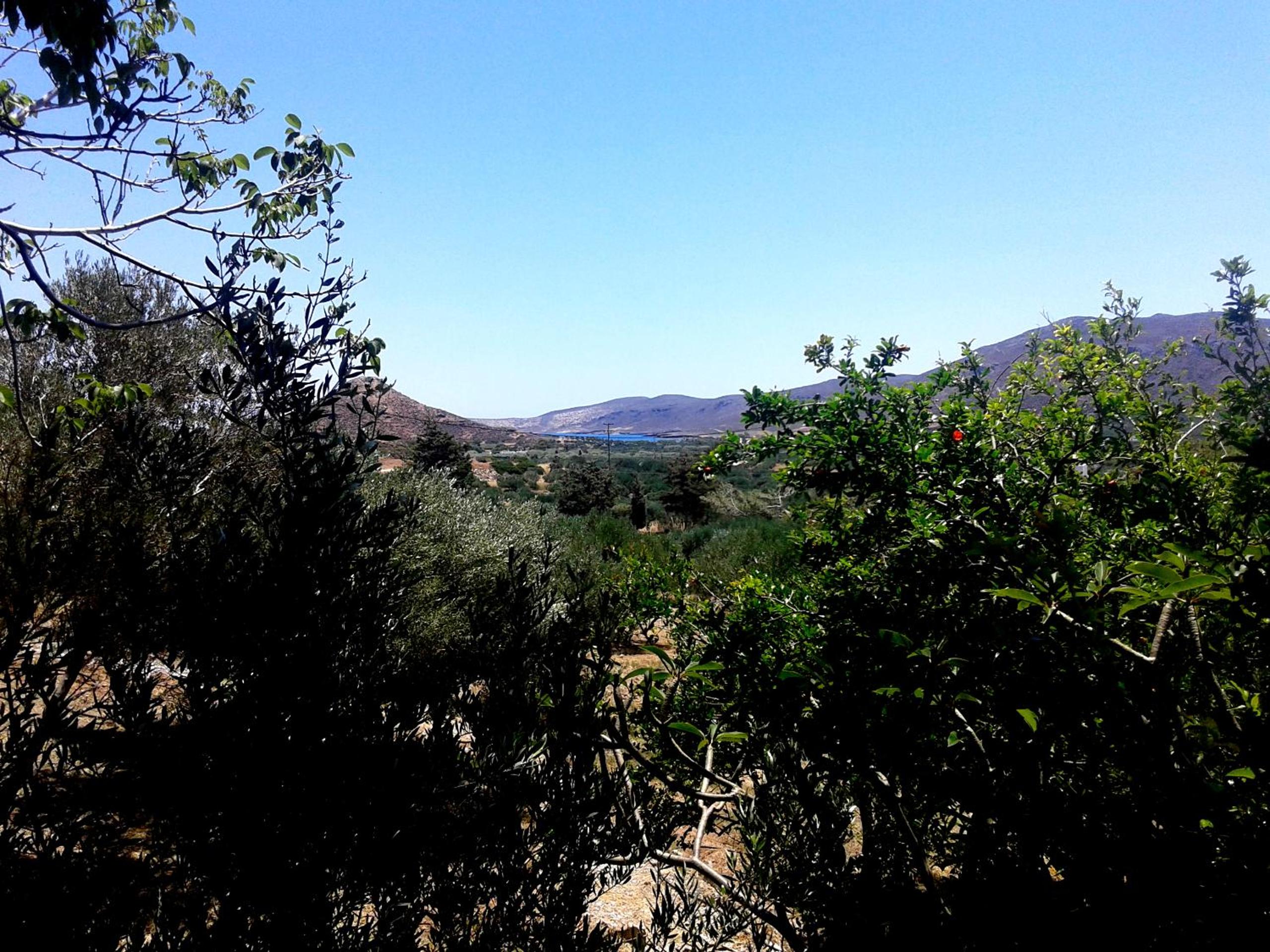 Photo 46