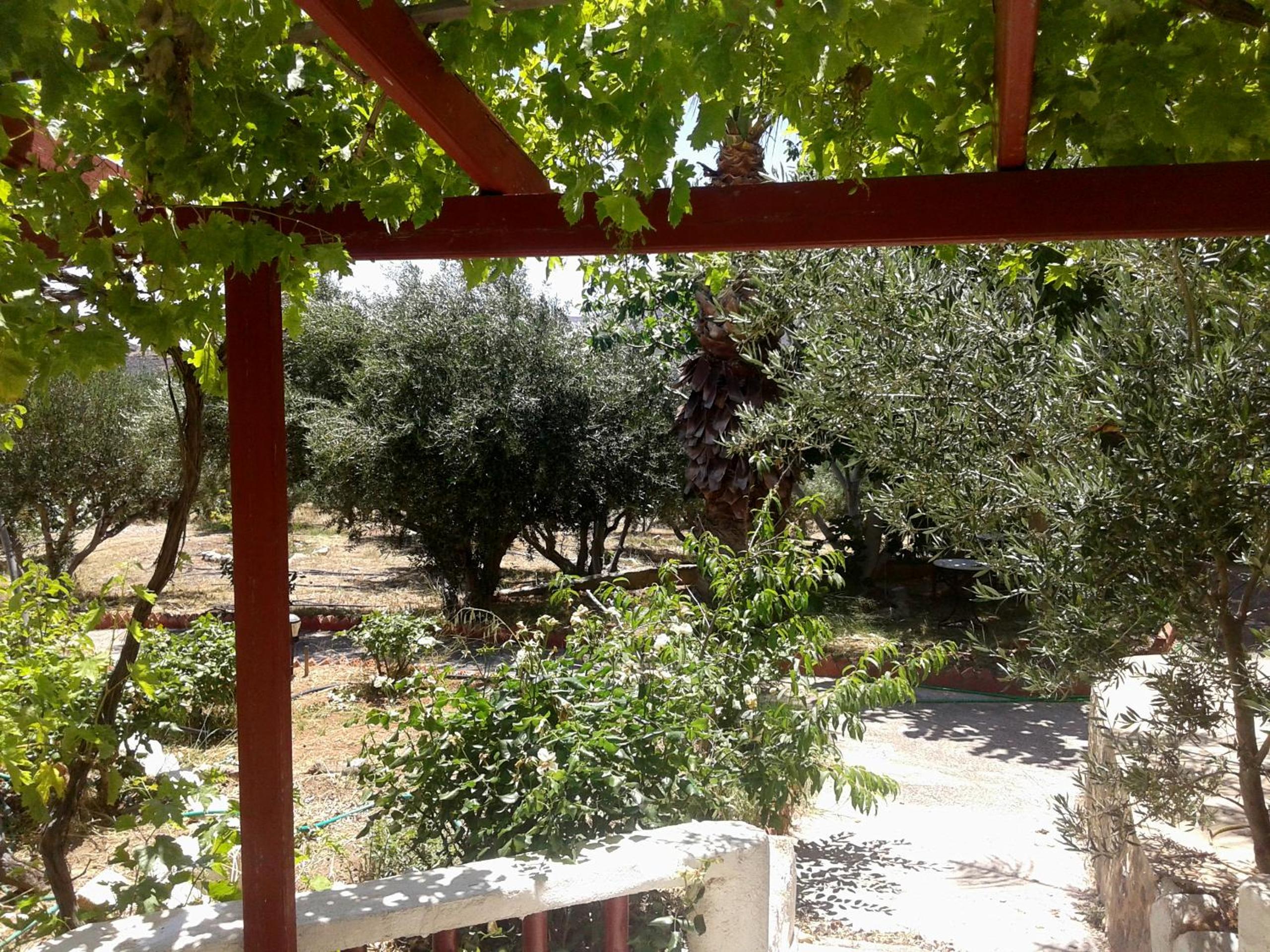 Photo 47