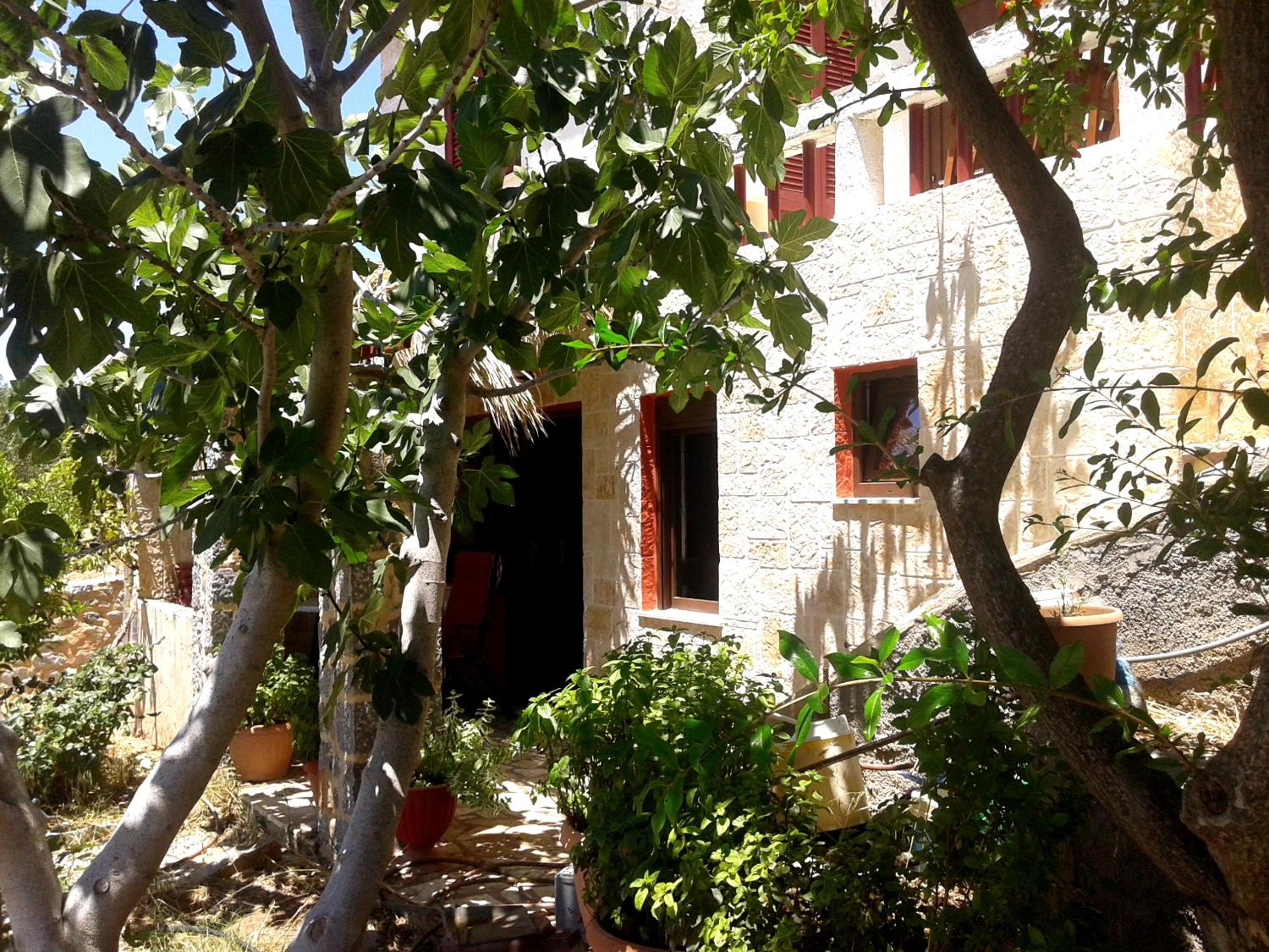 Photo 45