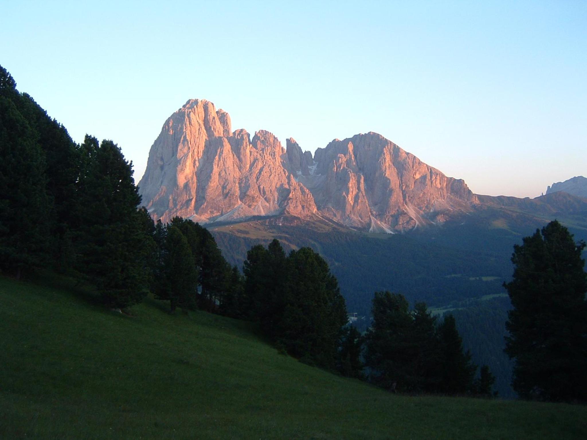 Photo 49