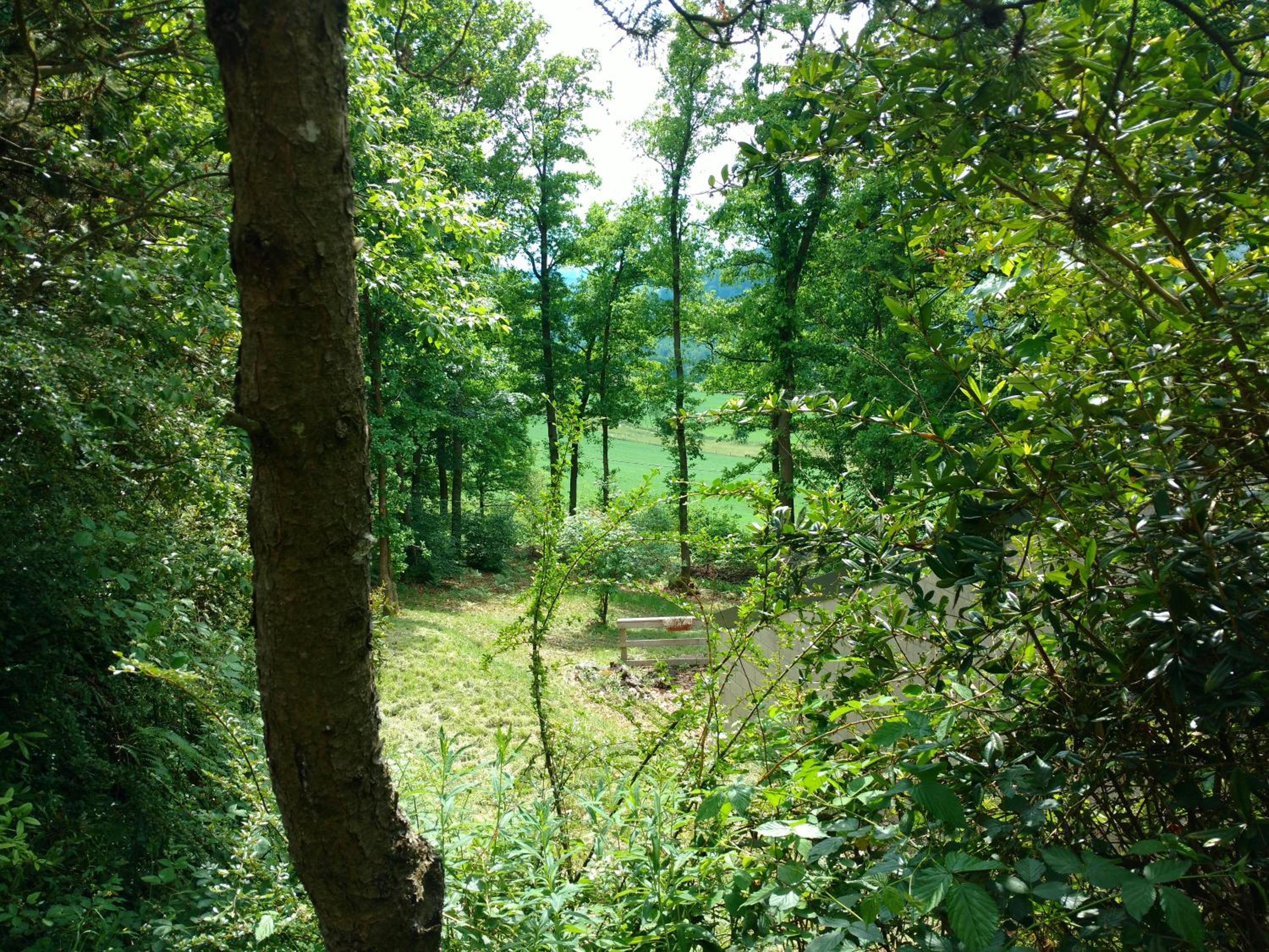 Le Vieux Sart 3