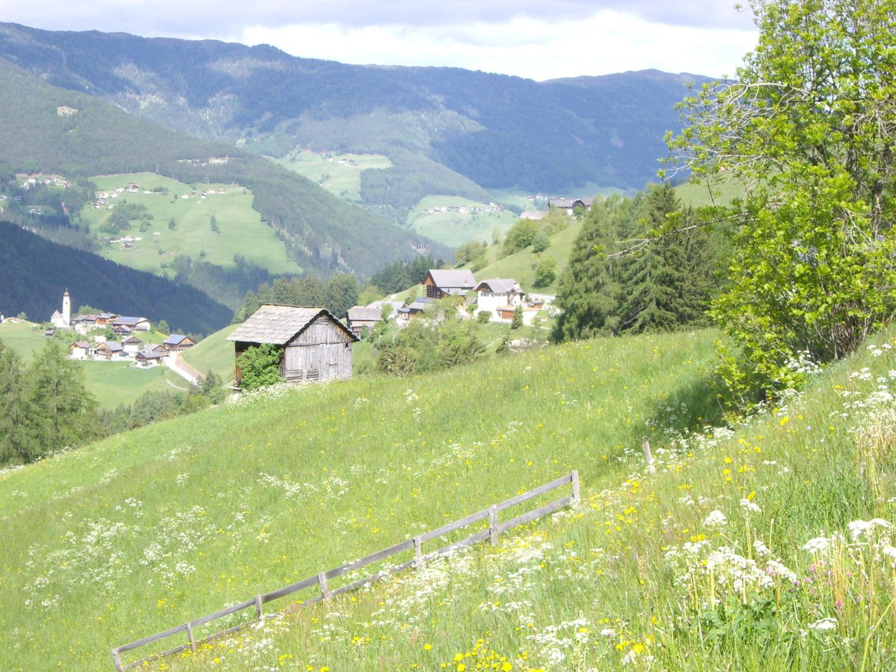 Photo 6
