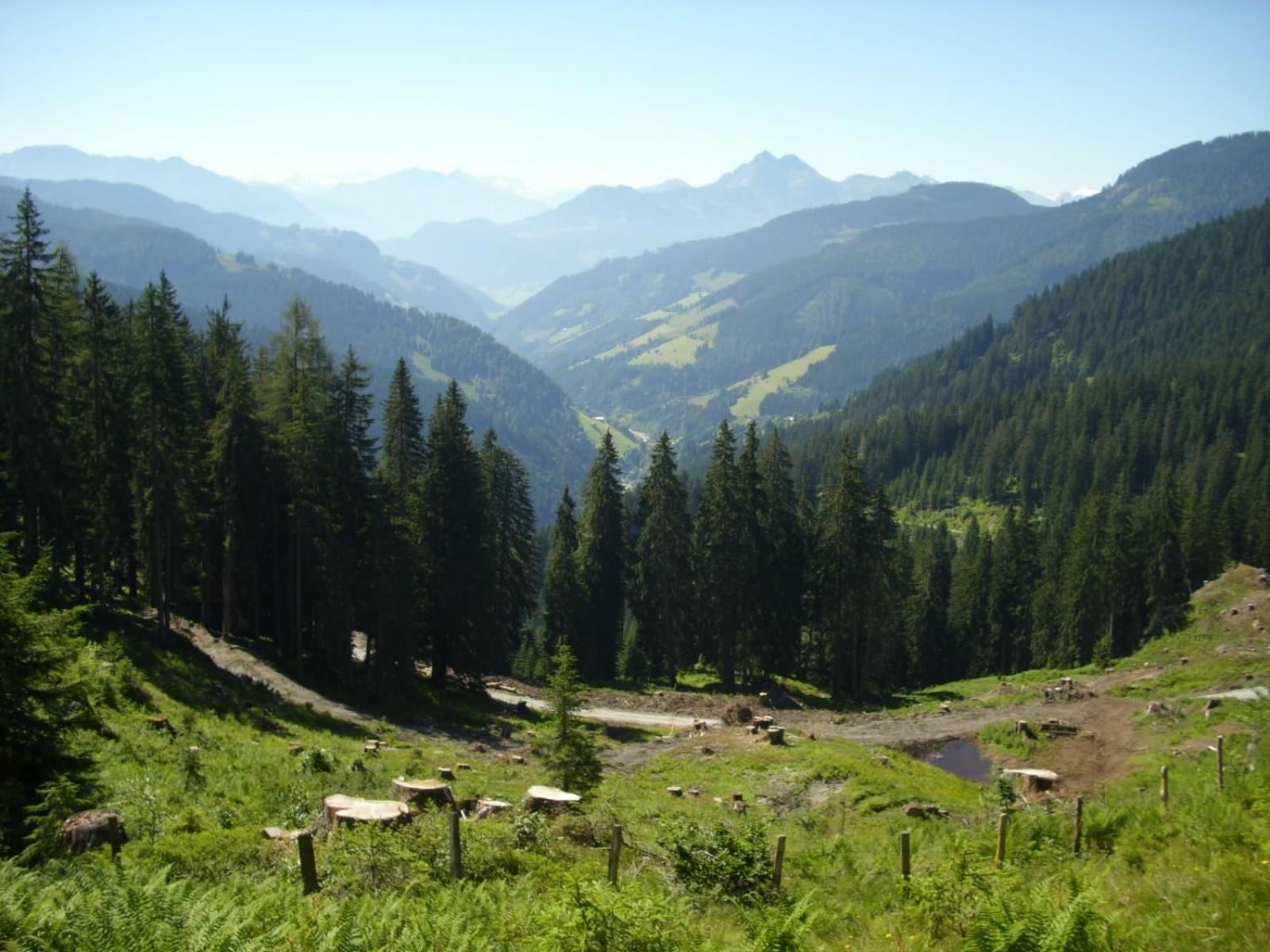 Chesa Montana