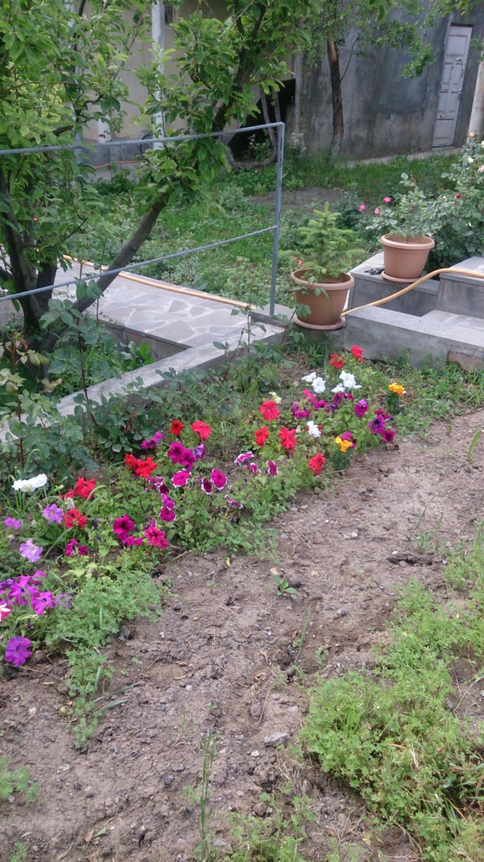 Guest house Hasmik