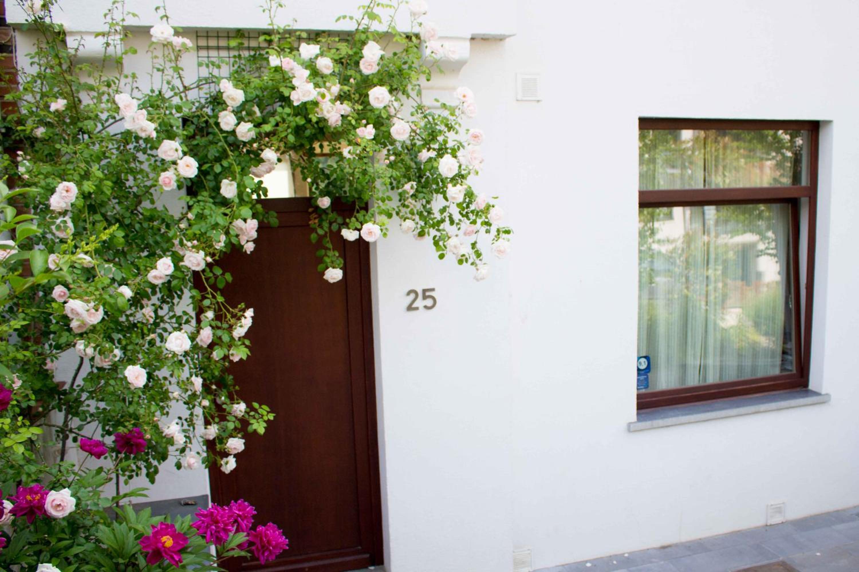 B&B Moensberg