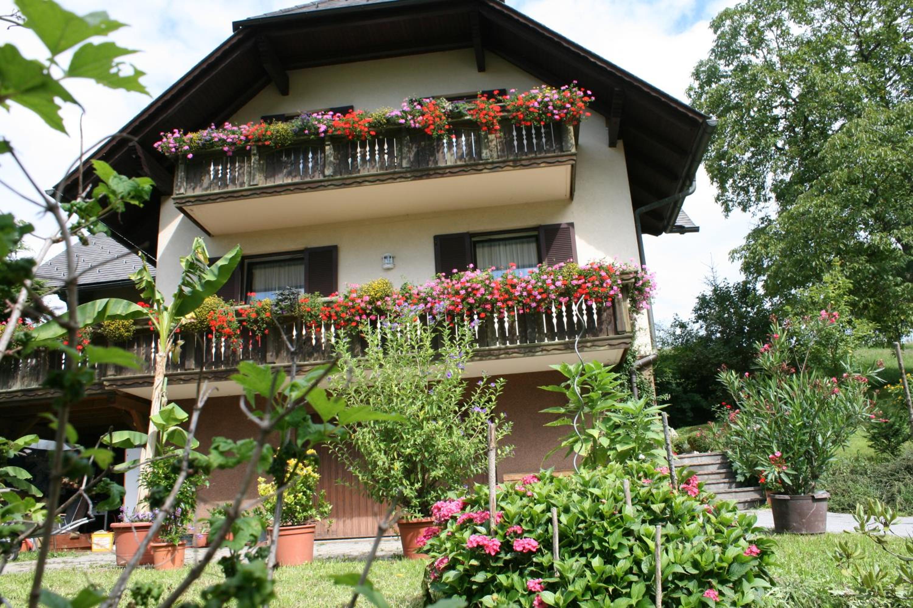 Gasthaus - Gästehaus Schusterbauer