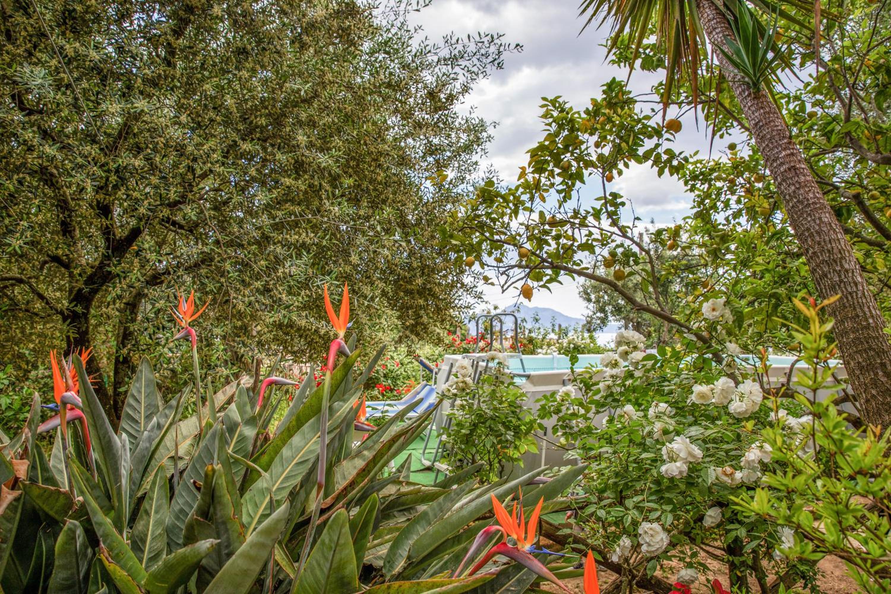 Raggio di Sole photo 5