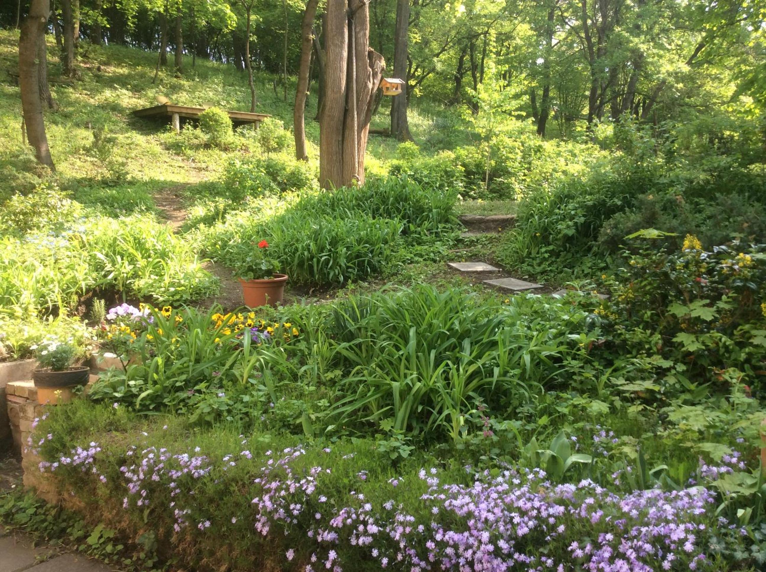 Photo 16
