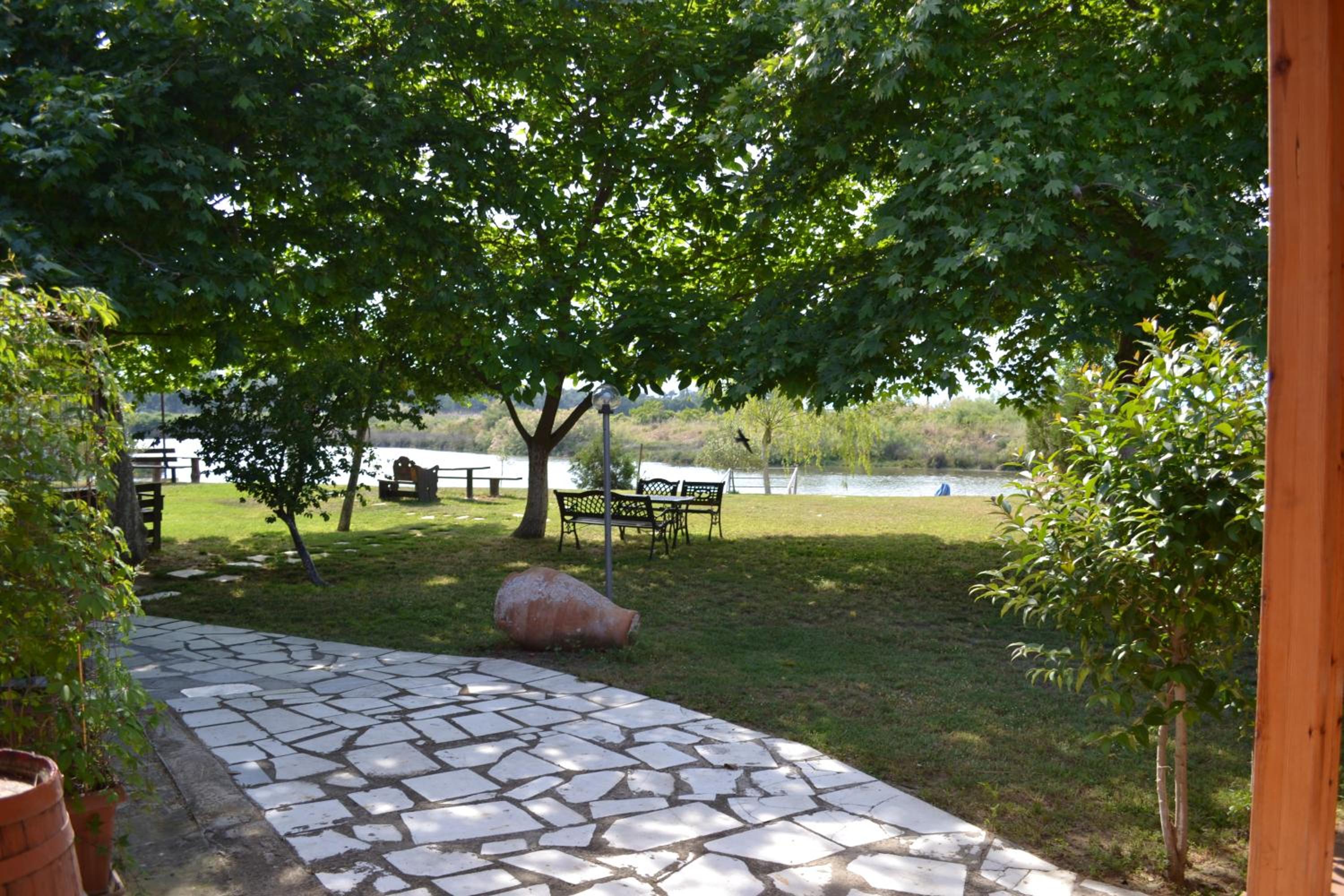 Photo 44