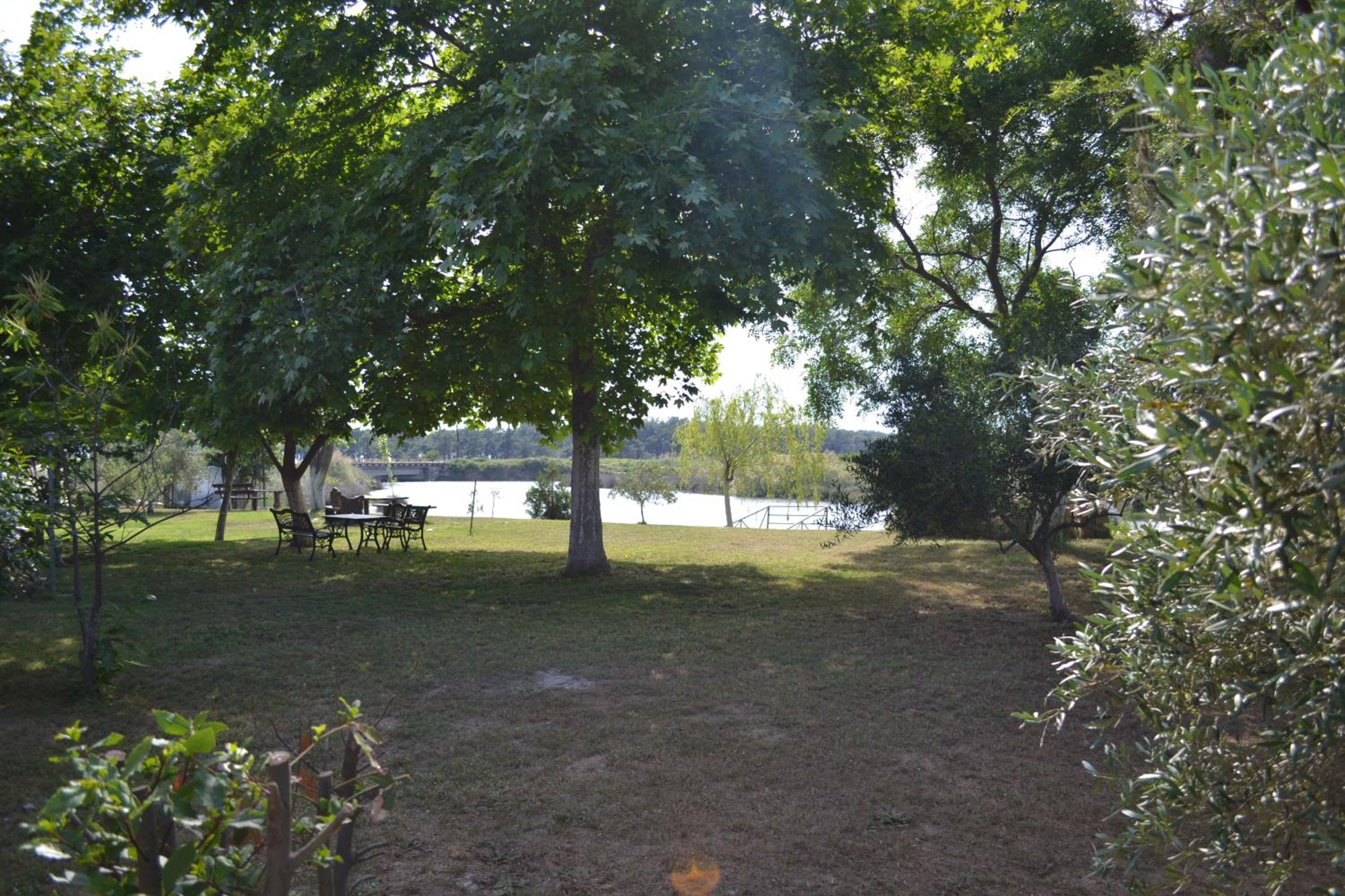Photo 43