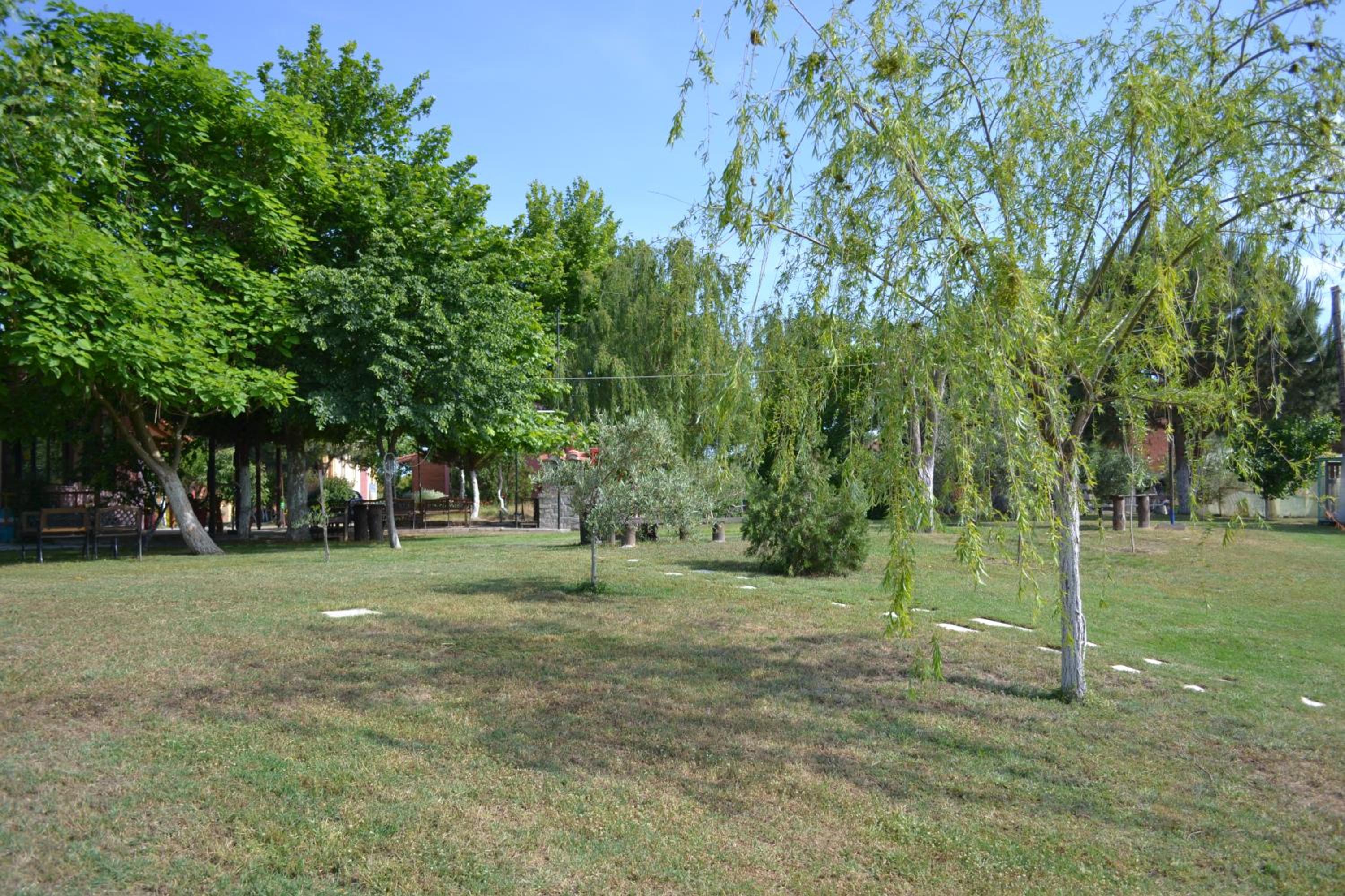 Photo 42