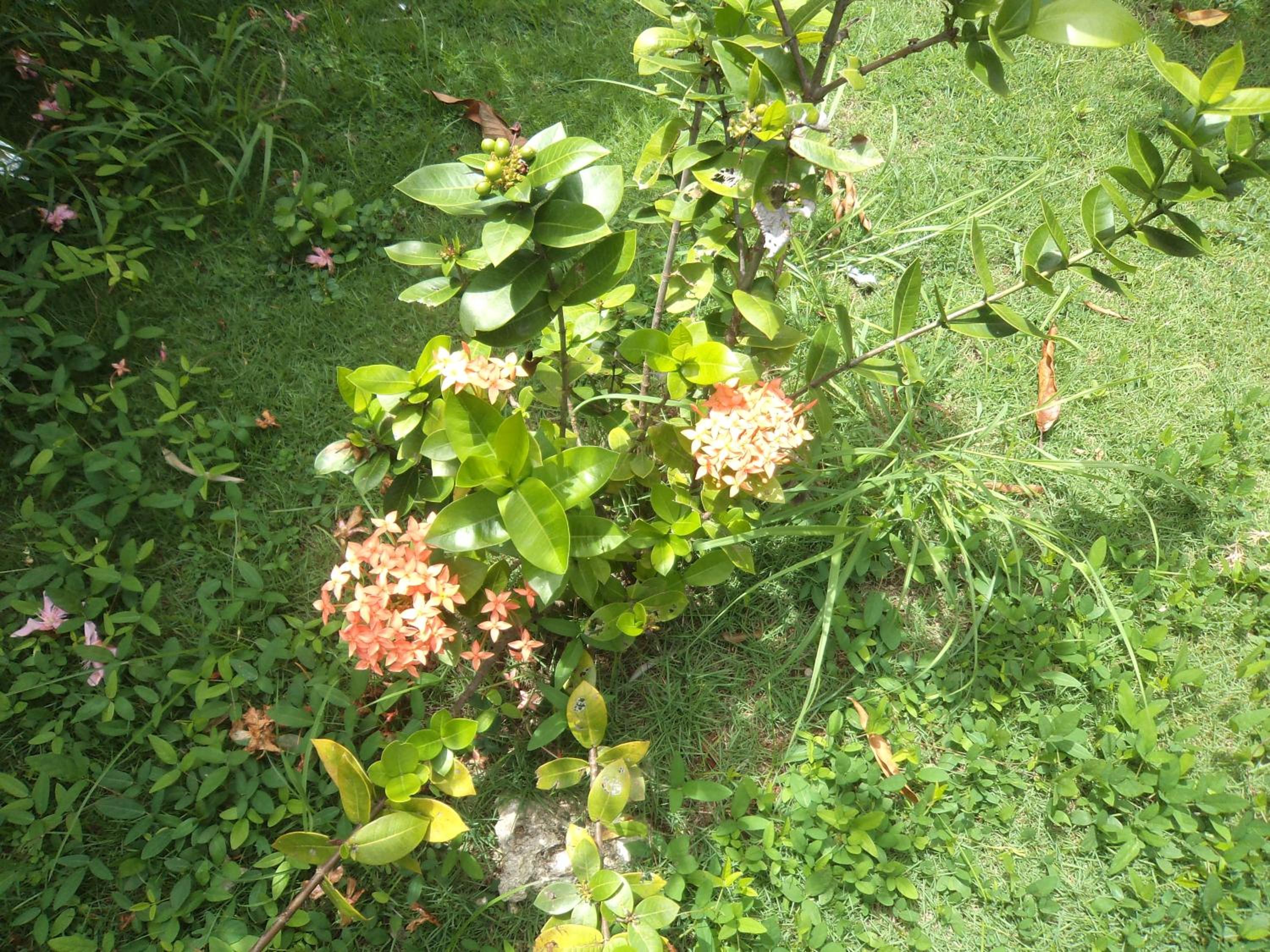 Photo 34
