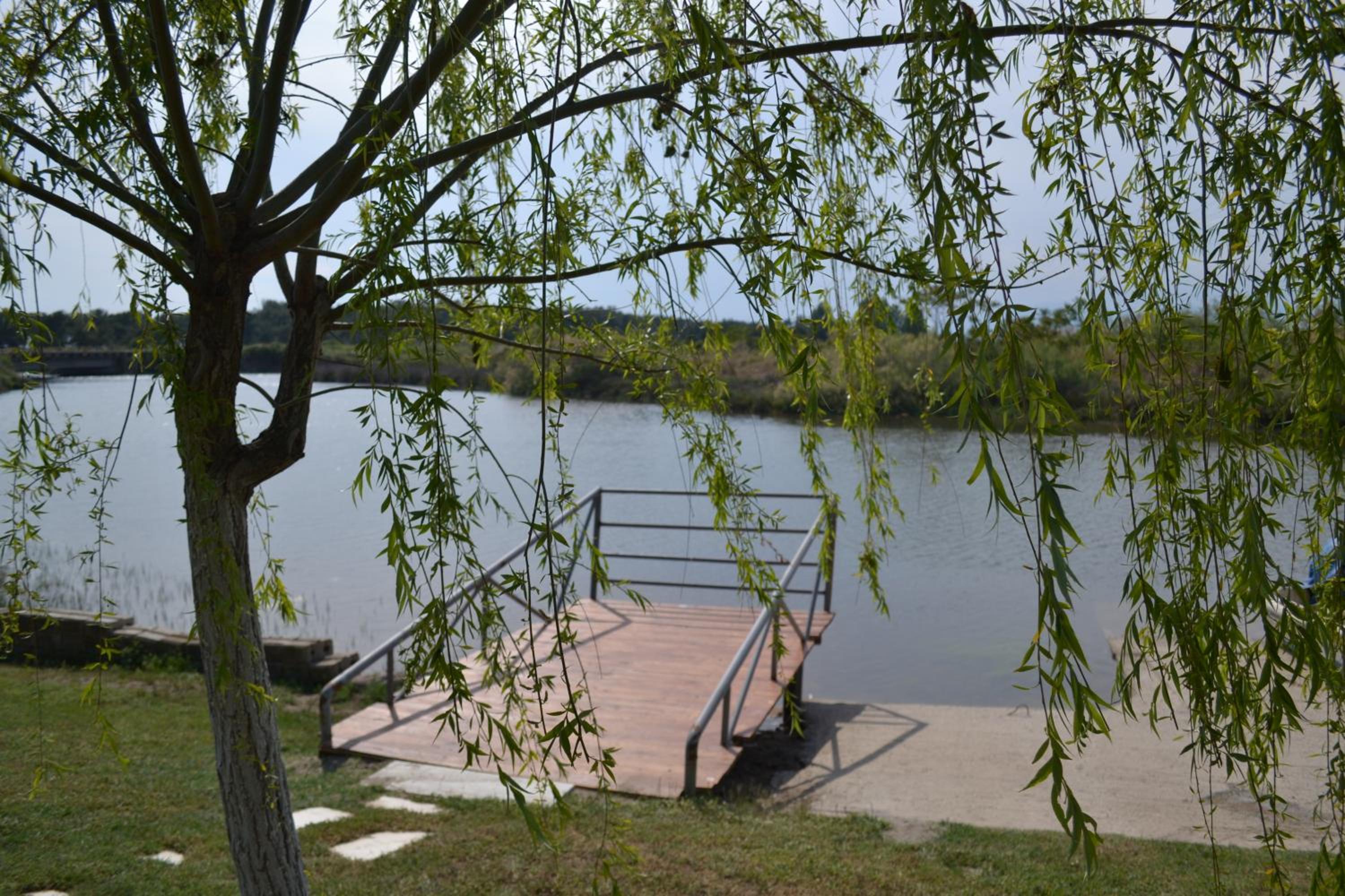 Photo 41