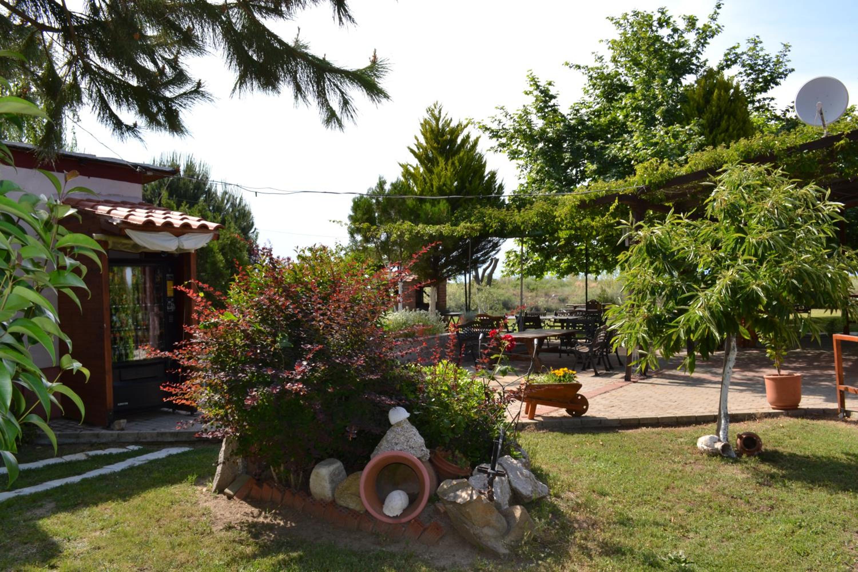 Photo 40