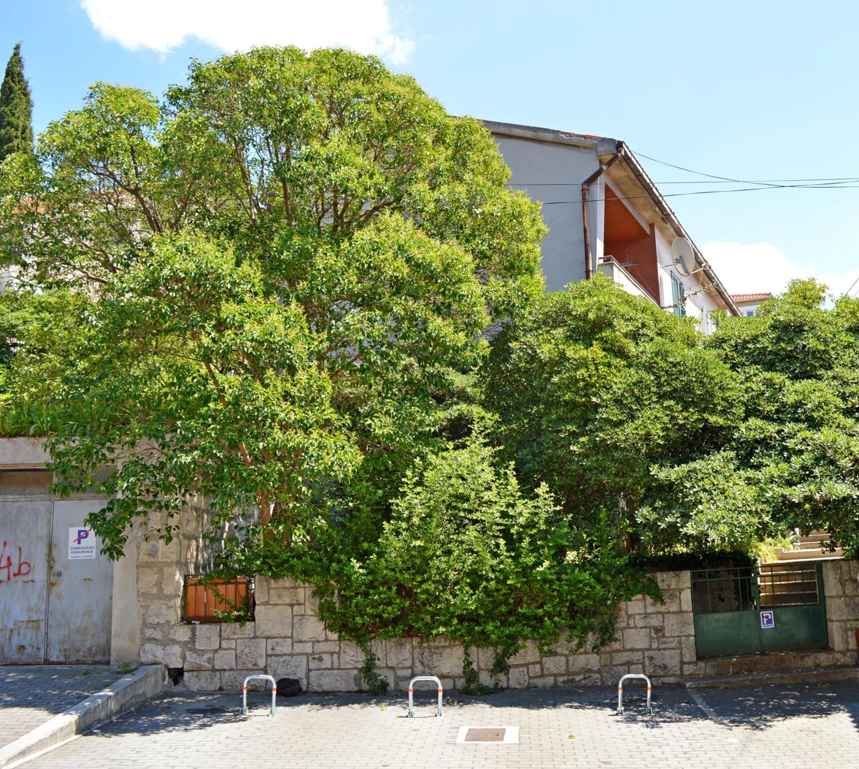 Hotel Braavos - Image 1