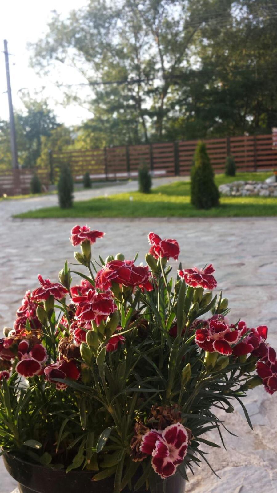 Photo 49