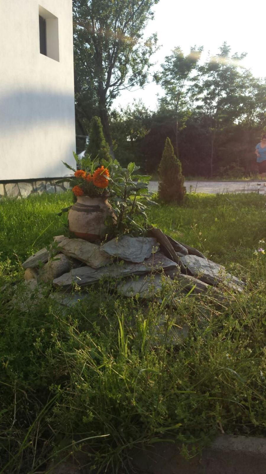 Photo 47