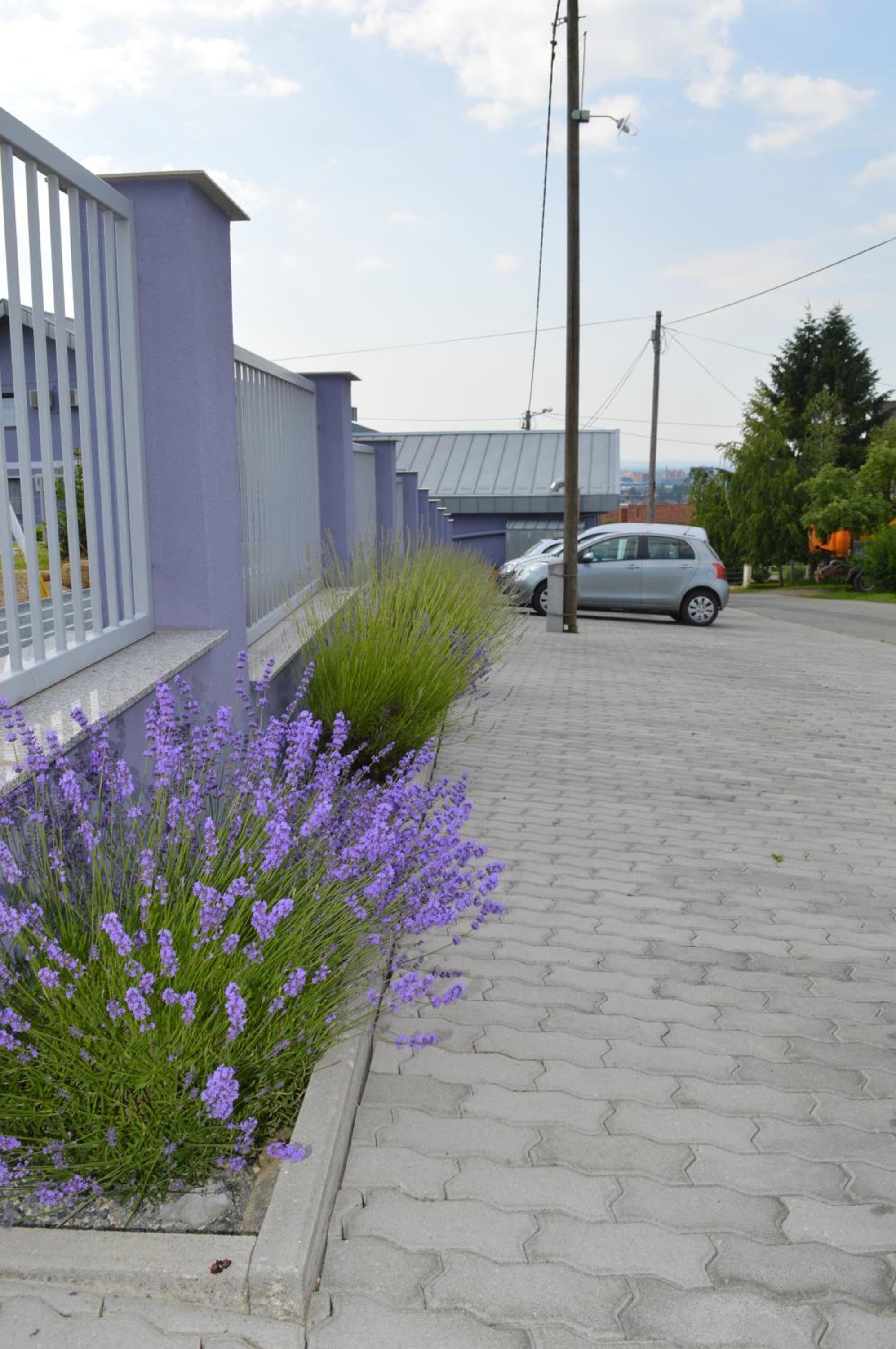 Photo 47