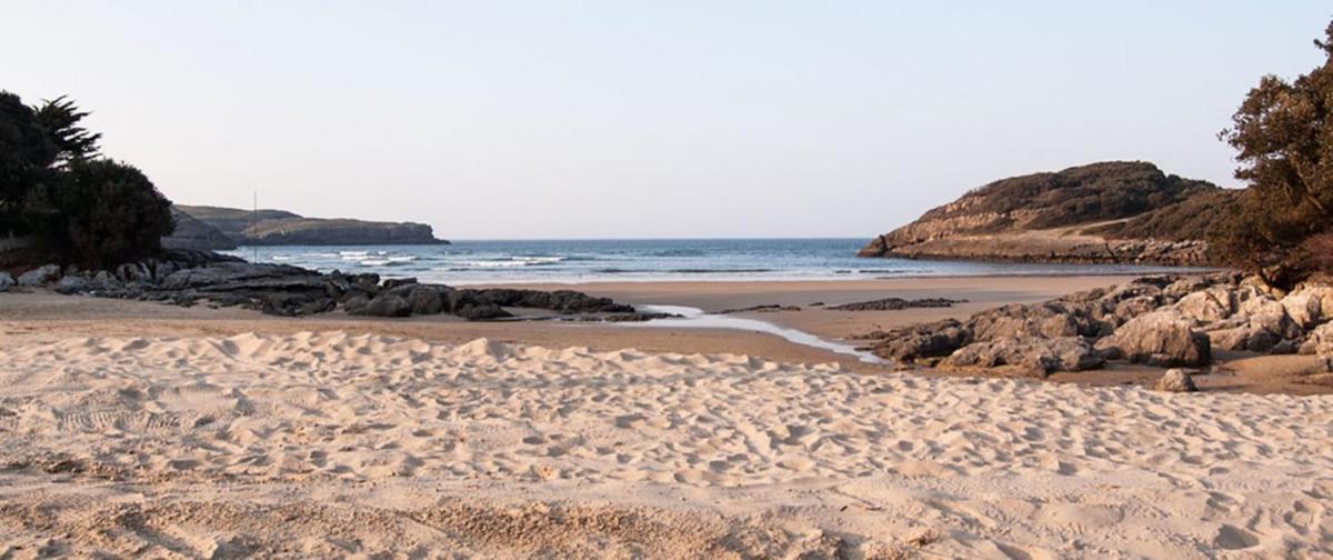 El Encinar de playa de la arena photo 5