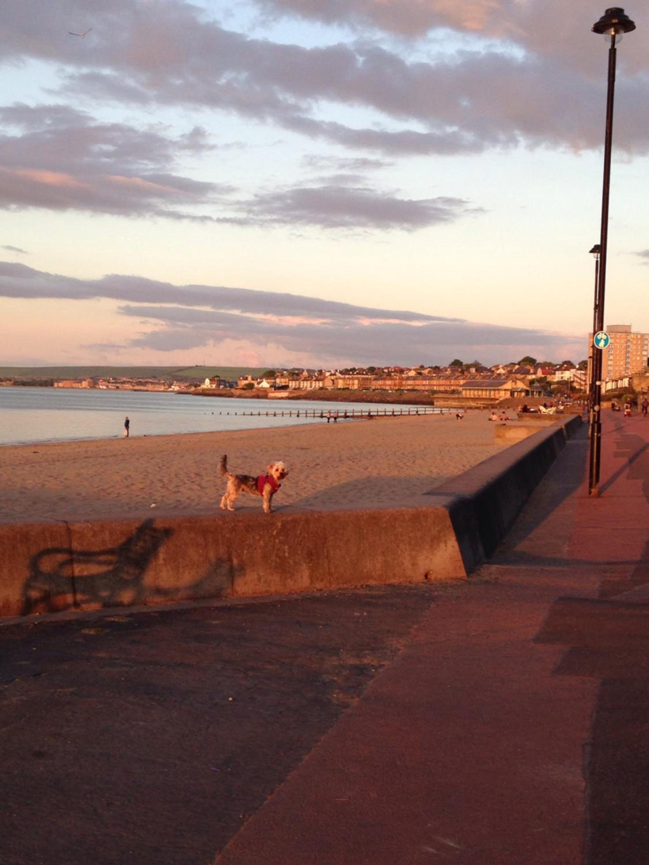 Edinburgh Seaside Apartment view 5