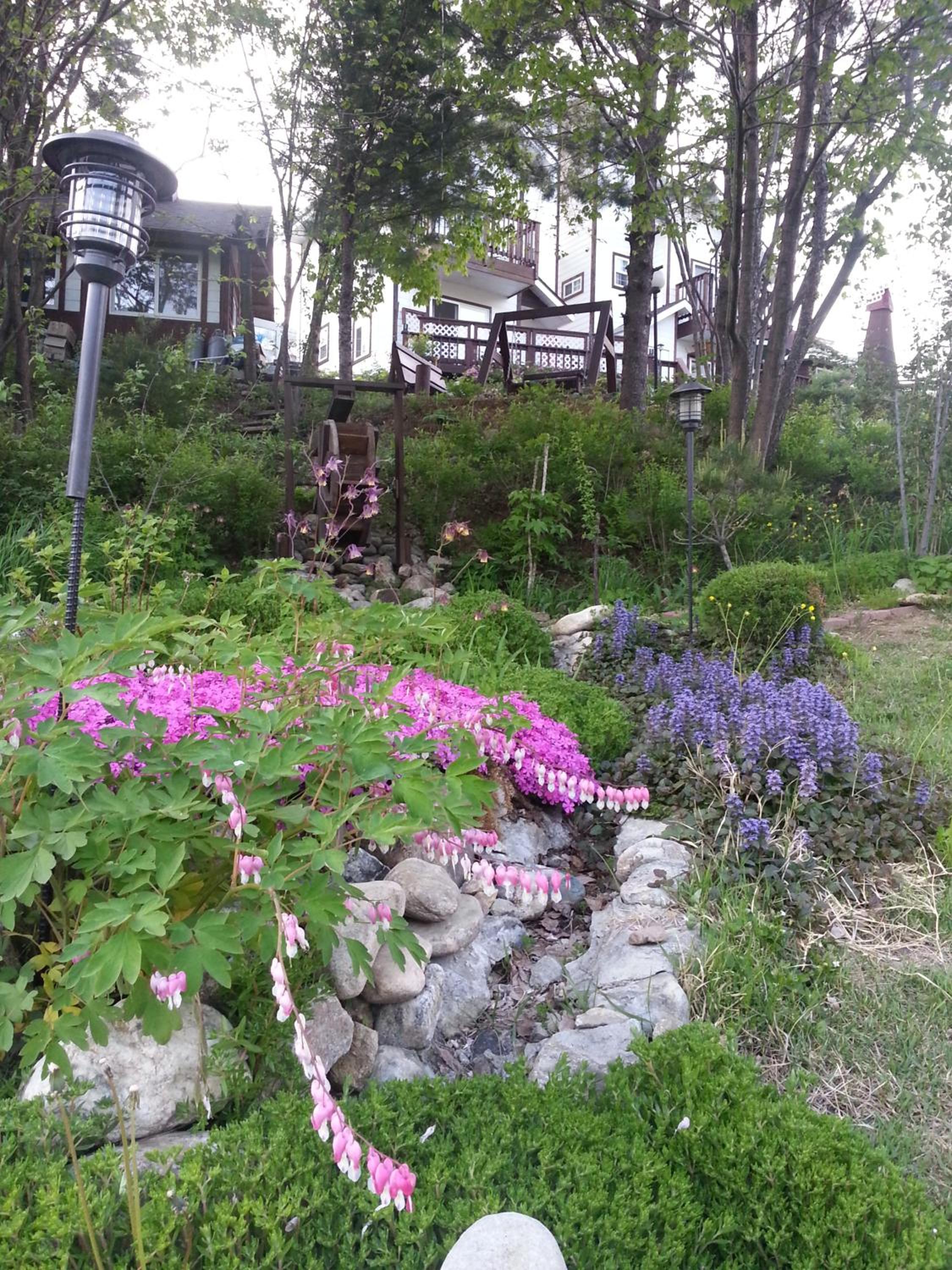 Photo 37