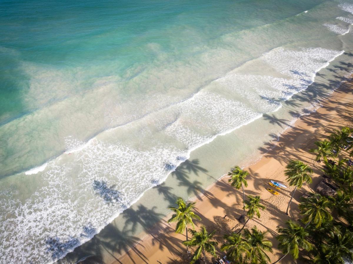 Sublime Samana — photo 3