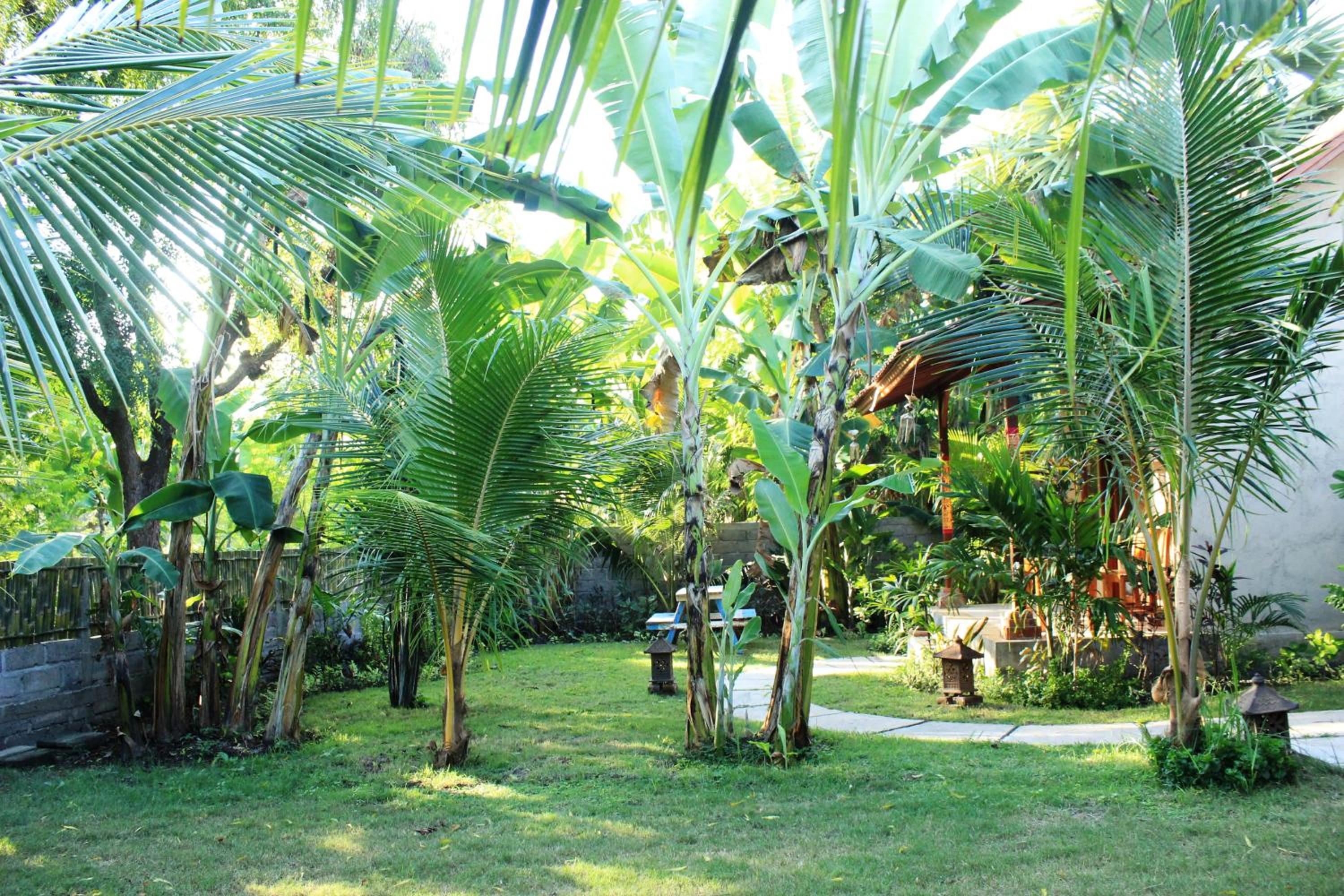 Toke Menjangan, Banyuwedang - 16