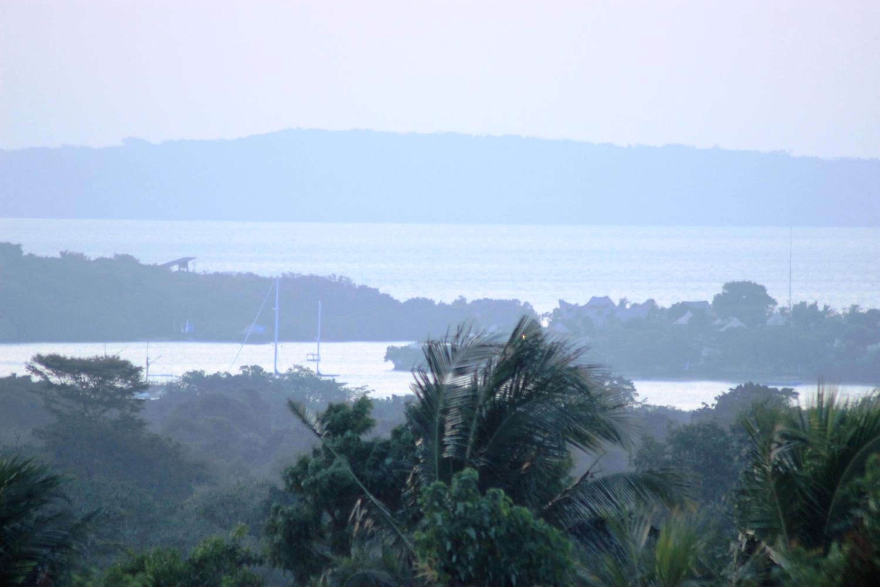 Menjangan Sari