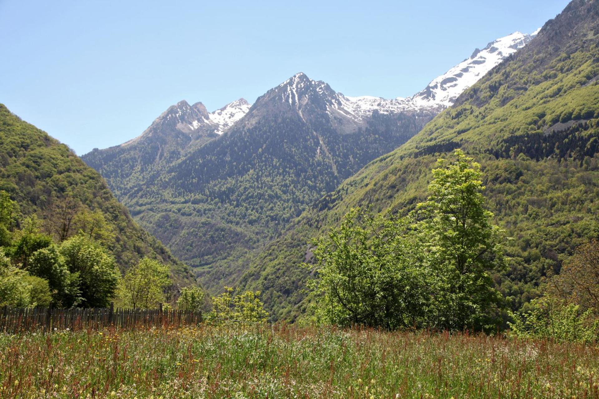 Photo 45