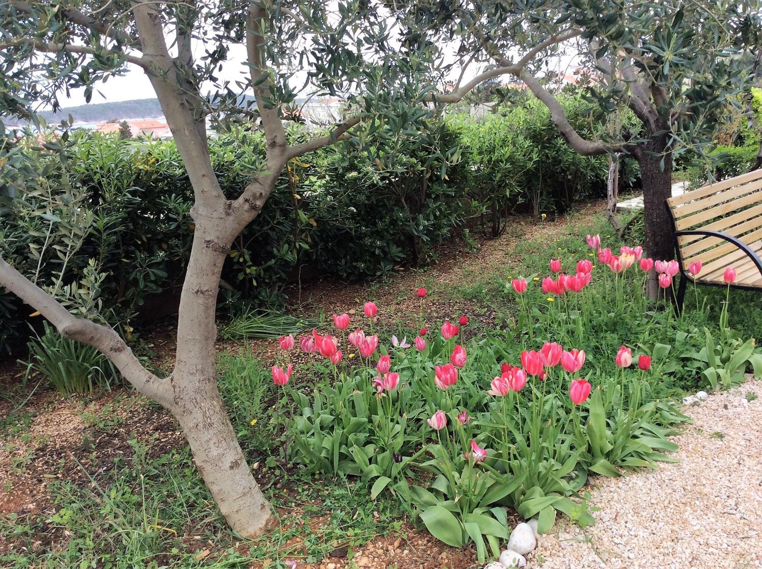 Photo 18