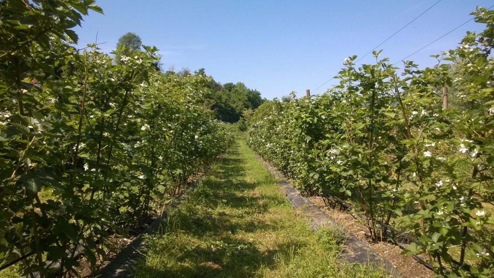 Agriturismo Terra e Lago d'Iseo Franciacorta