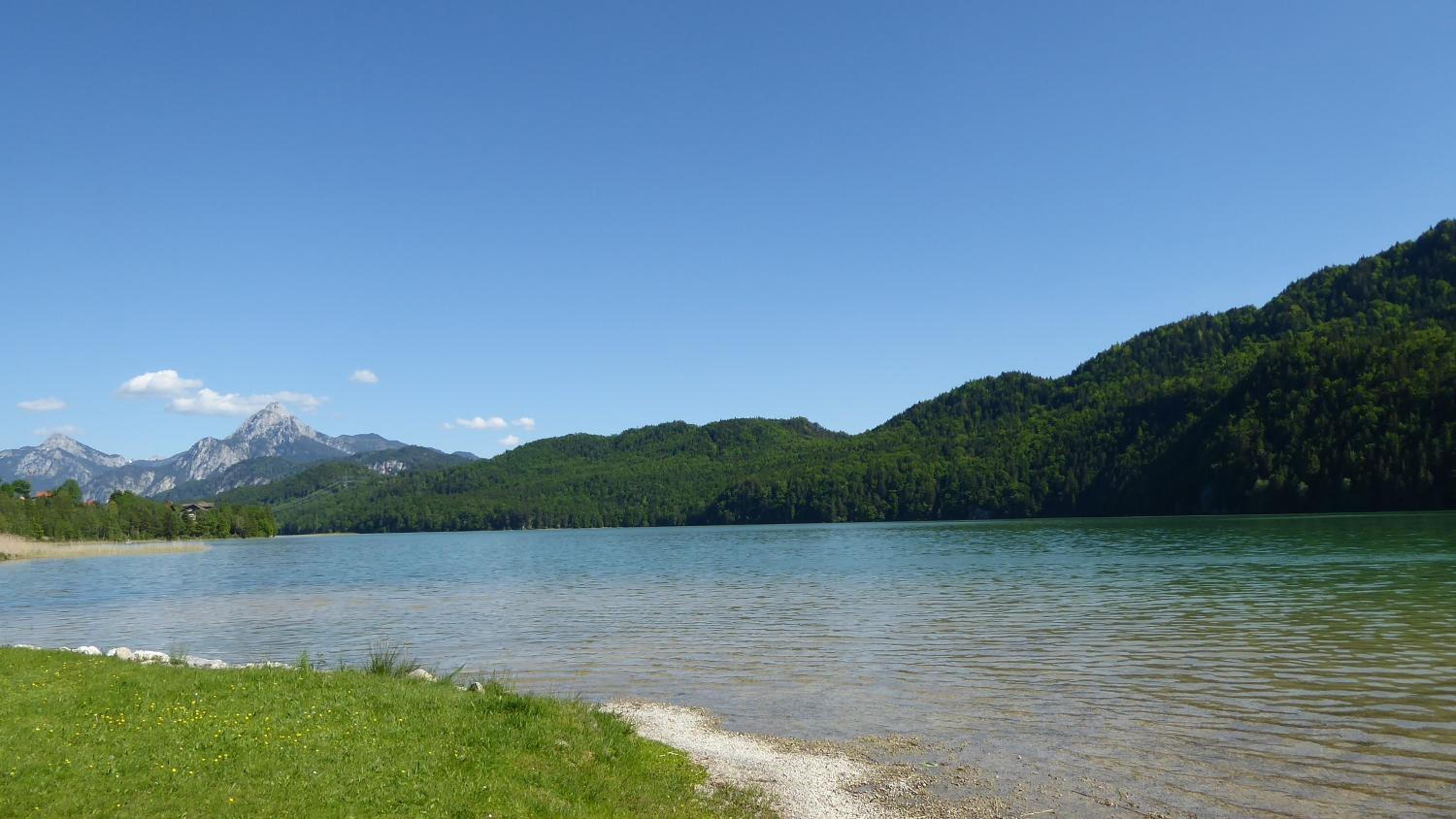 FW Weissensee