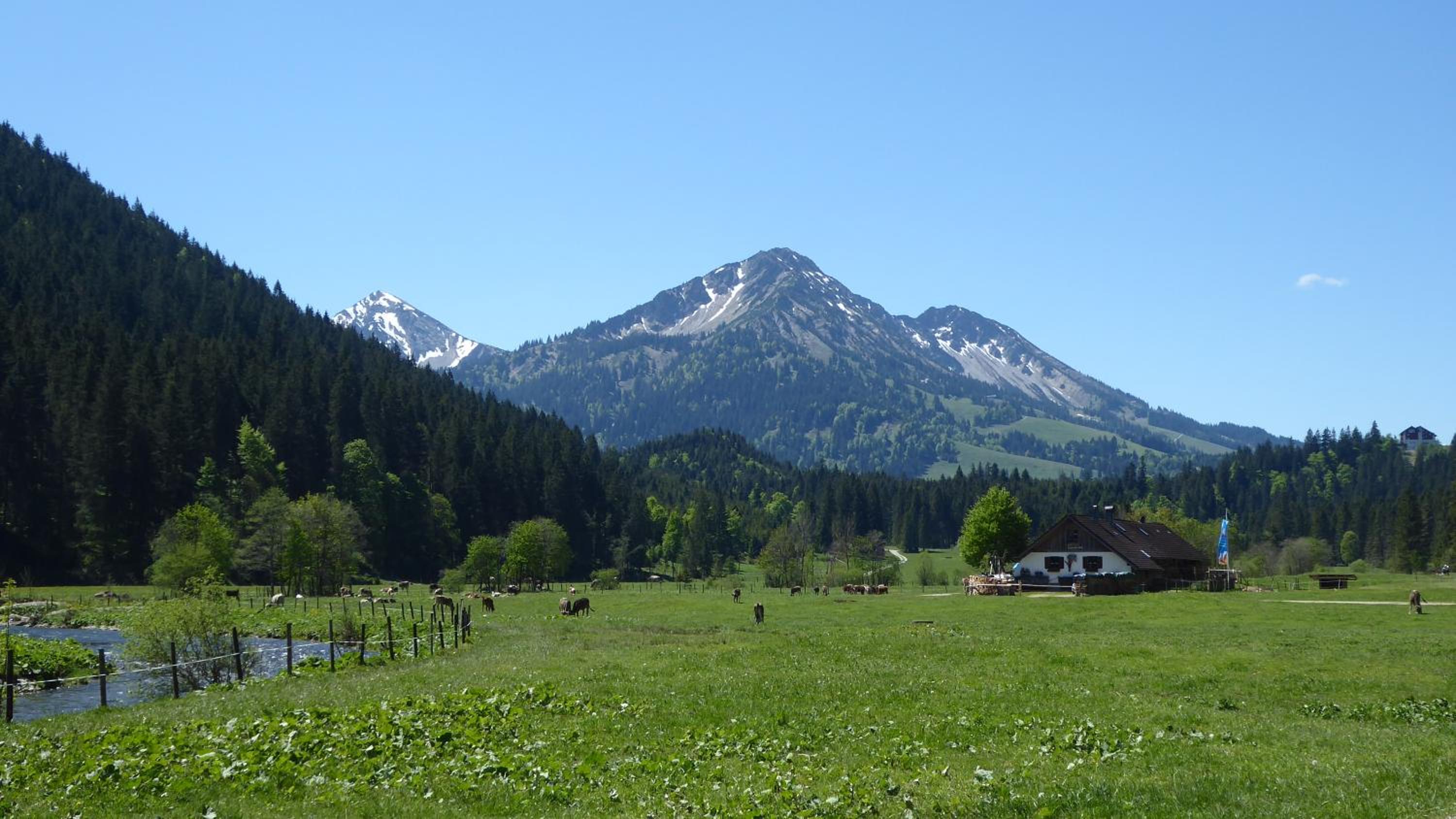 FW Weissensee en Füssen