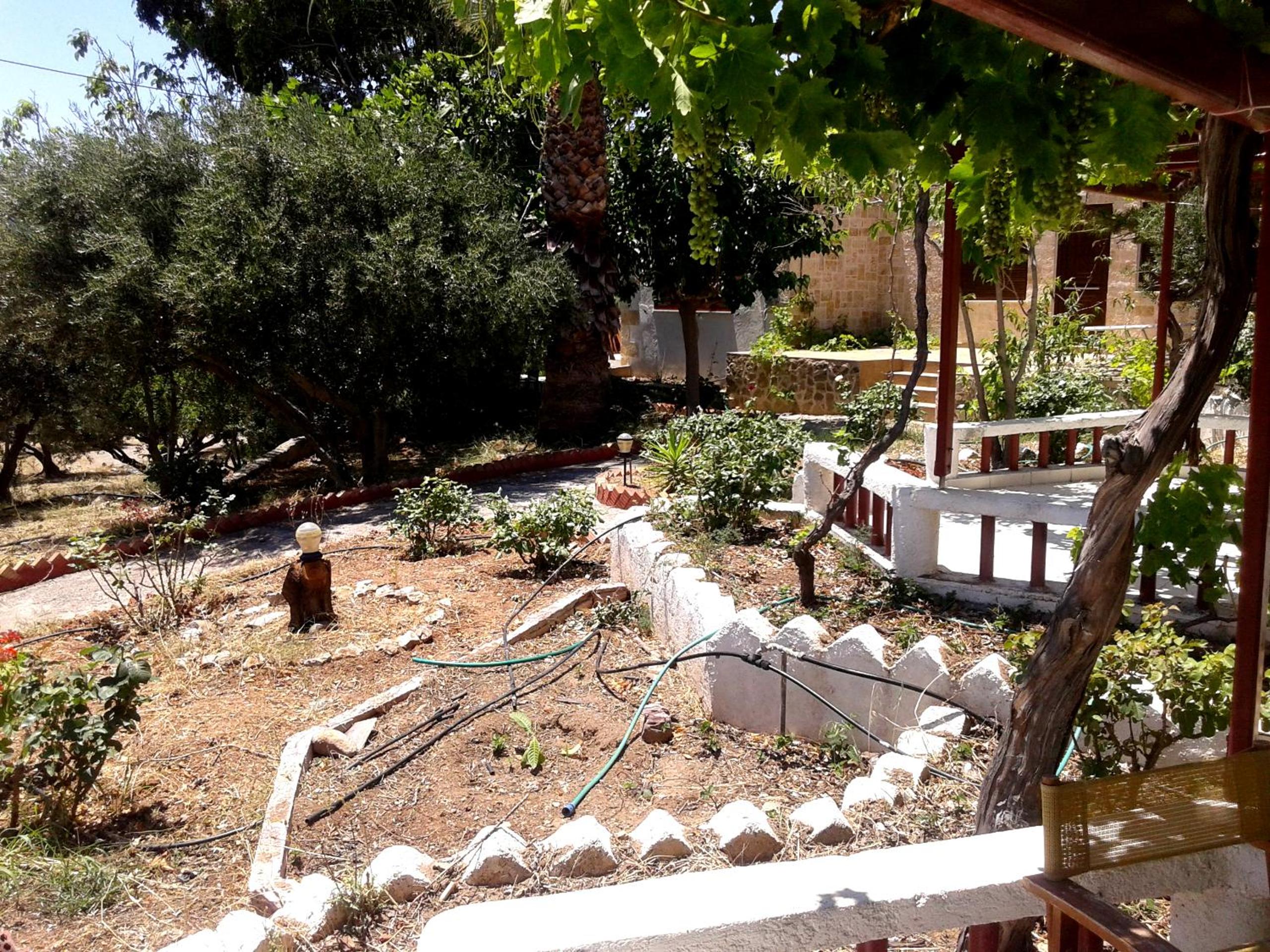 Photo 43
