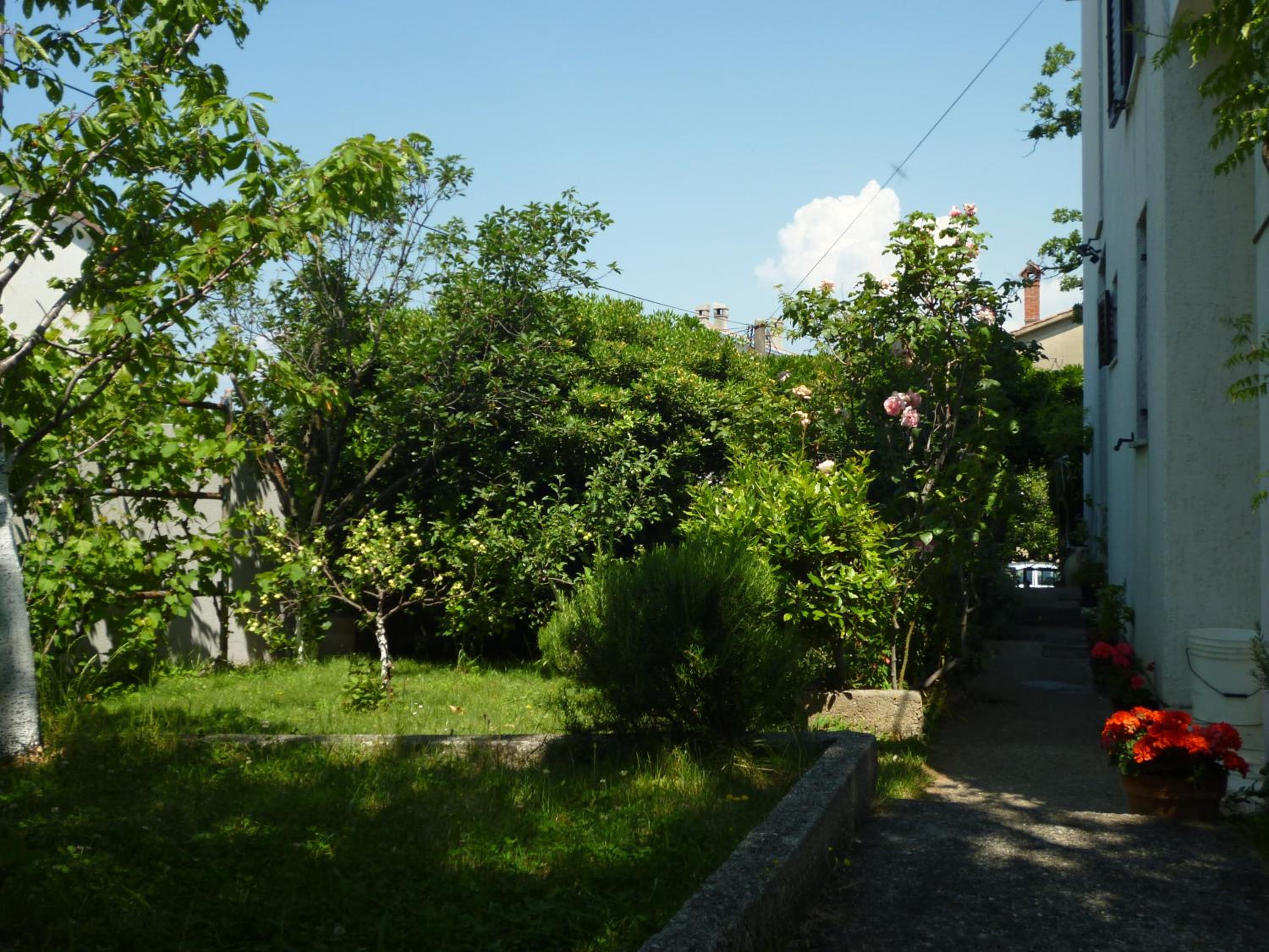 Photo 35
