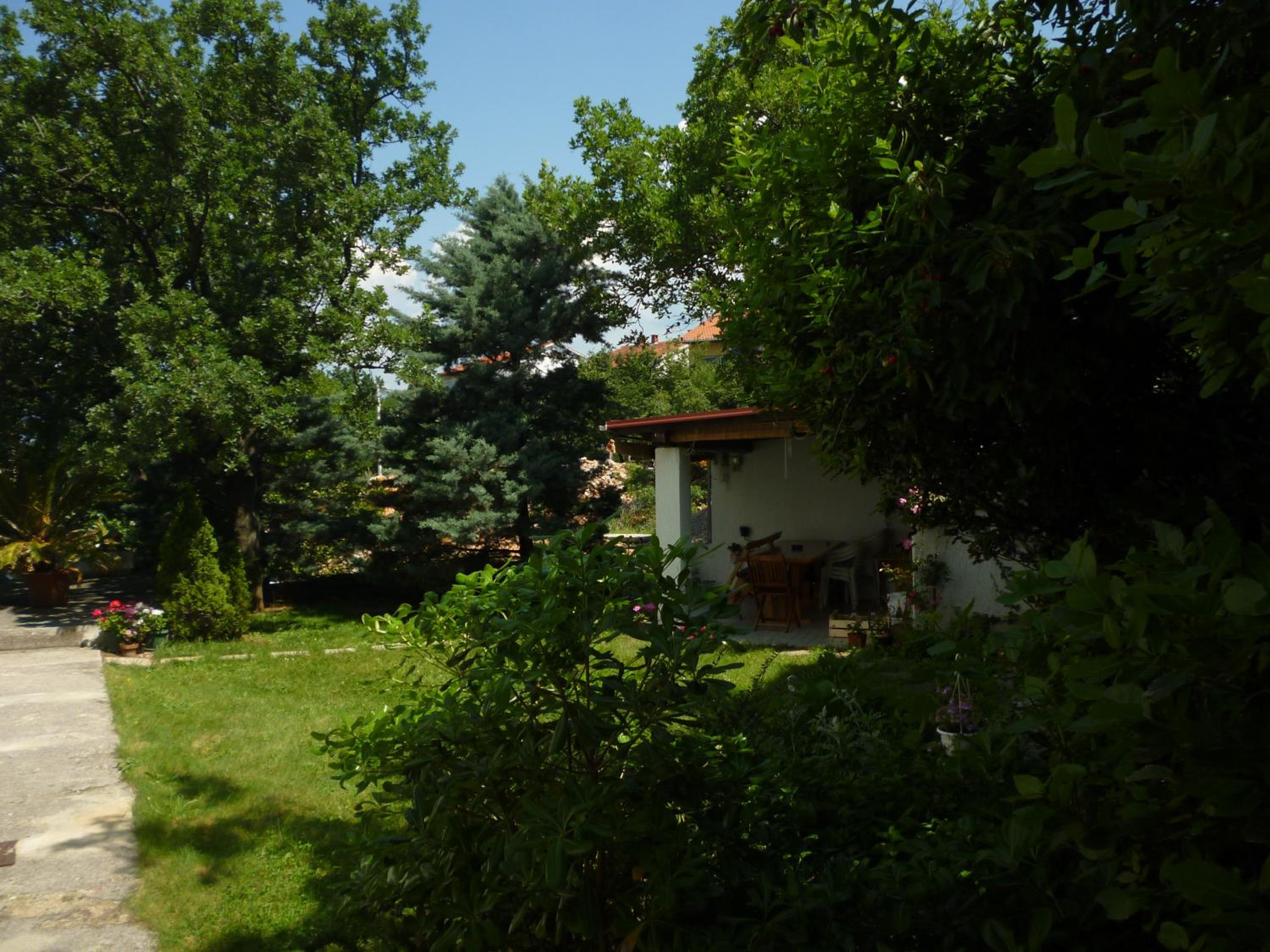 Photo 36