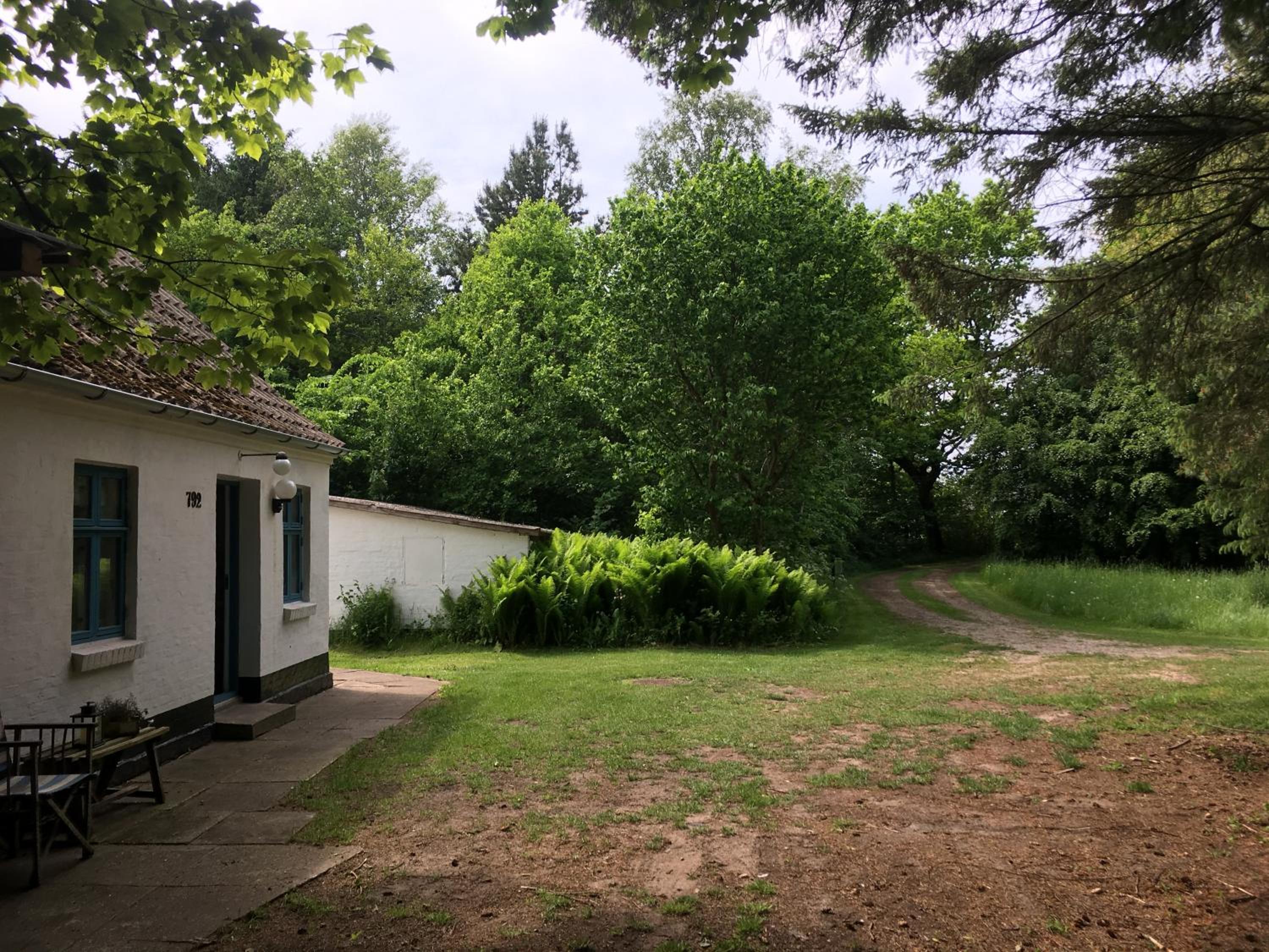 Skovhuset view 2